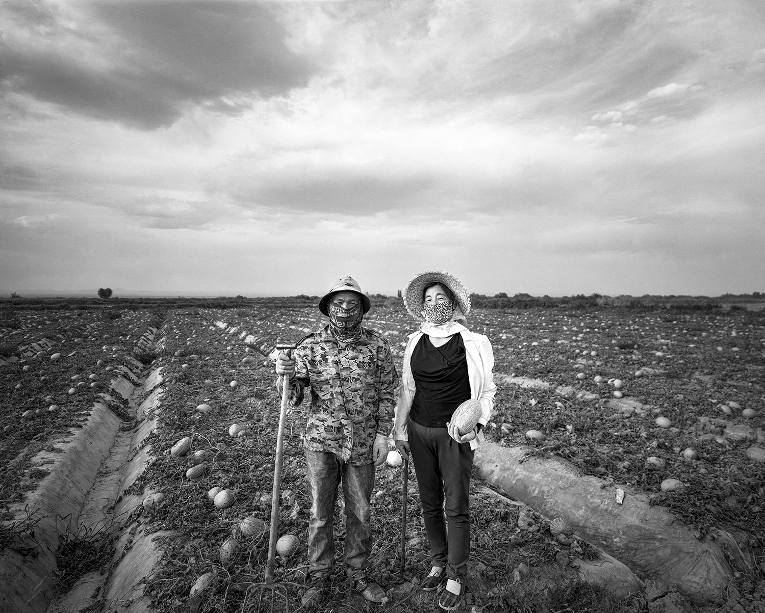 Villager growing Hami melons, Guazhou, Gansu, 2017