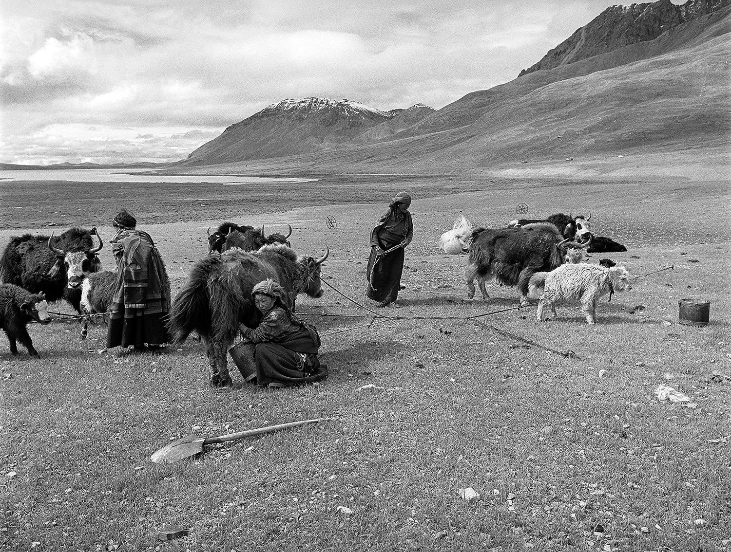 Nagqu, Tibet