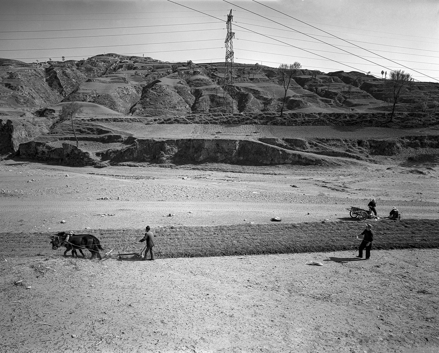 Spring sowing, Laoyingbao, Pianguan, Shanxi, 2009
