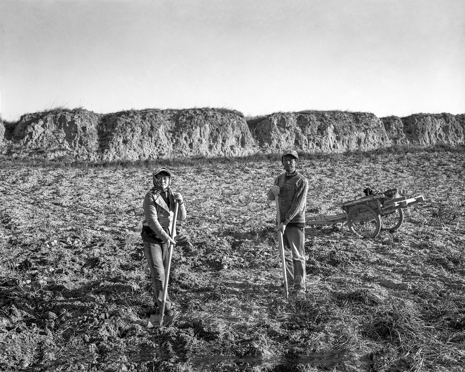 A couple digging potatoes, Anbian, Shaanxi, 2011