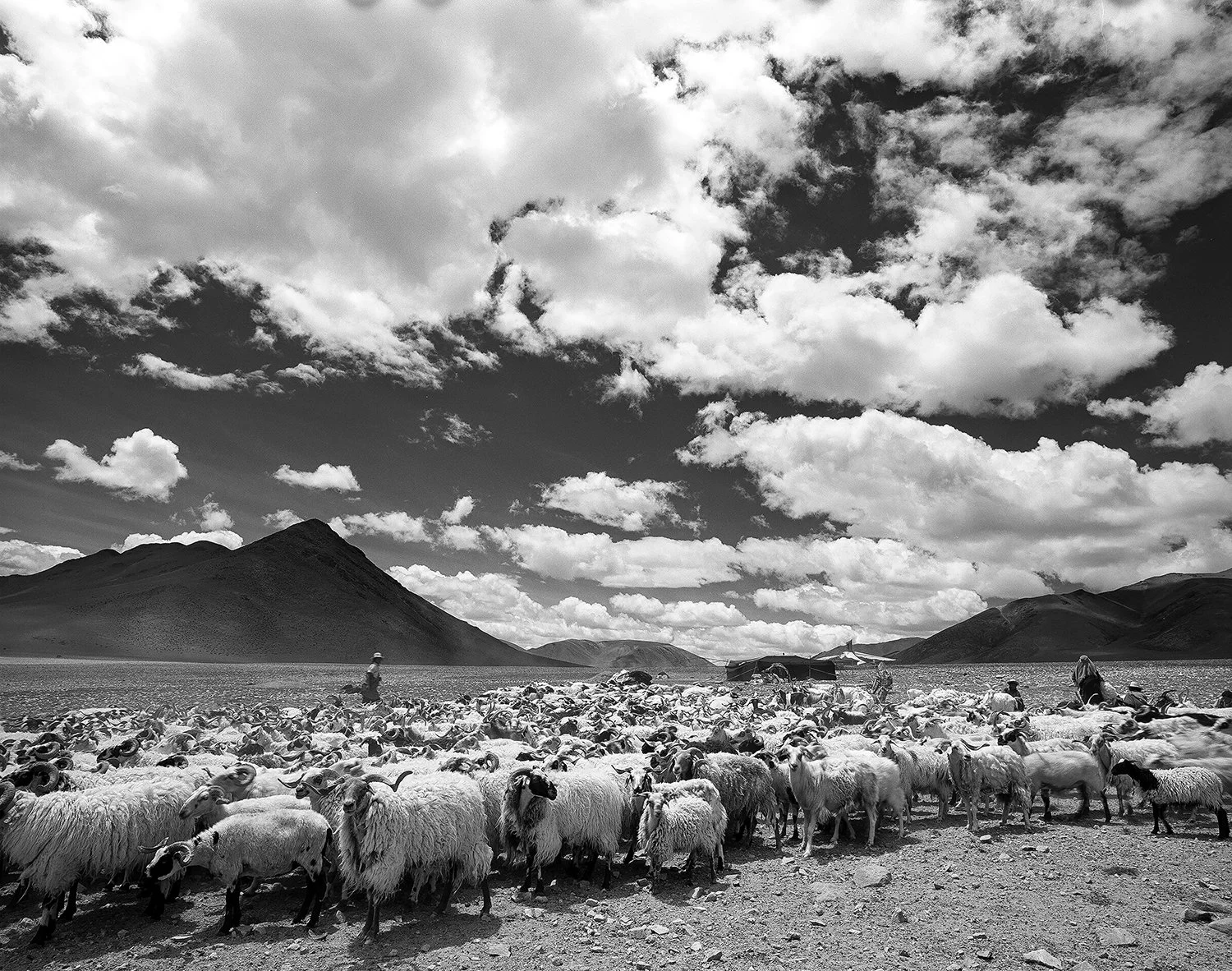 Nagqu, Tibet, 1996