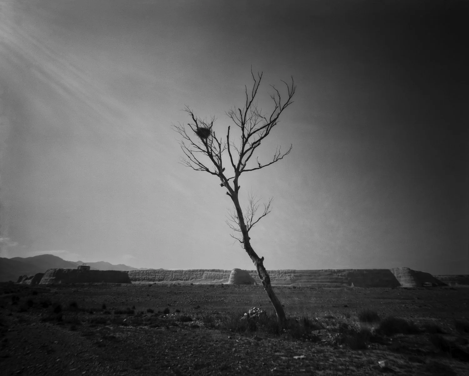 Yongtai Turtle City, Gansu, 2017