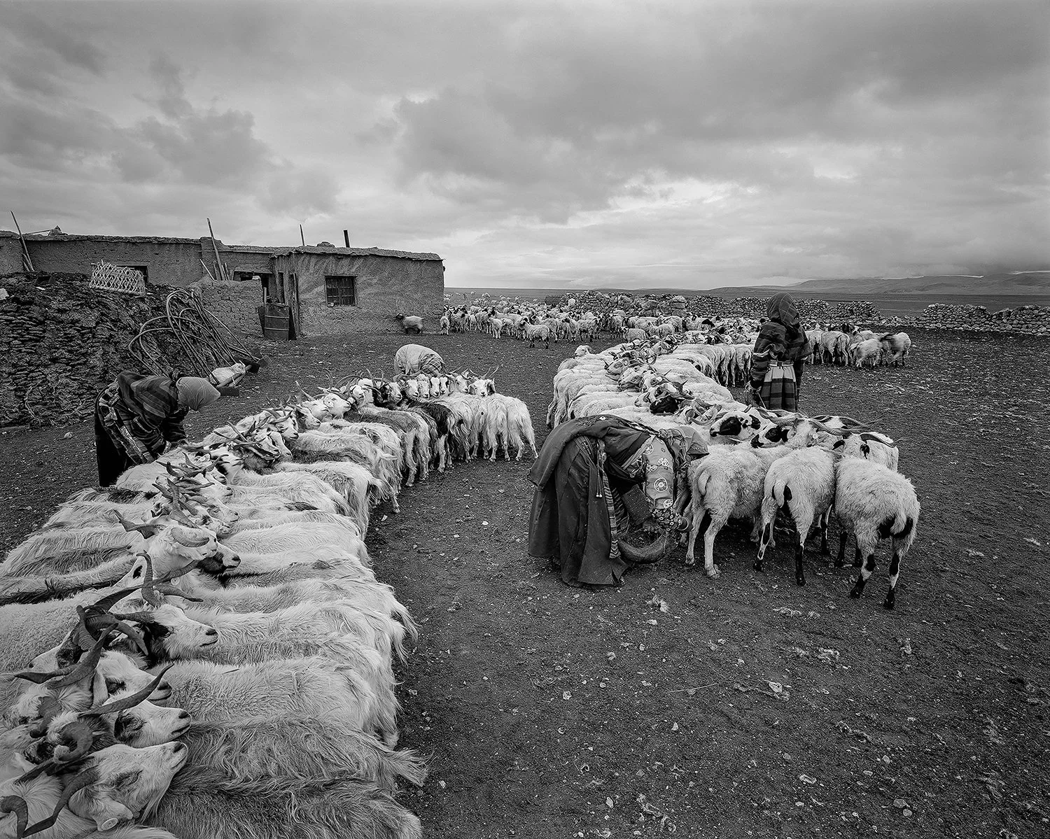 Nagqu, Tibet, 1996