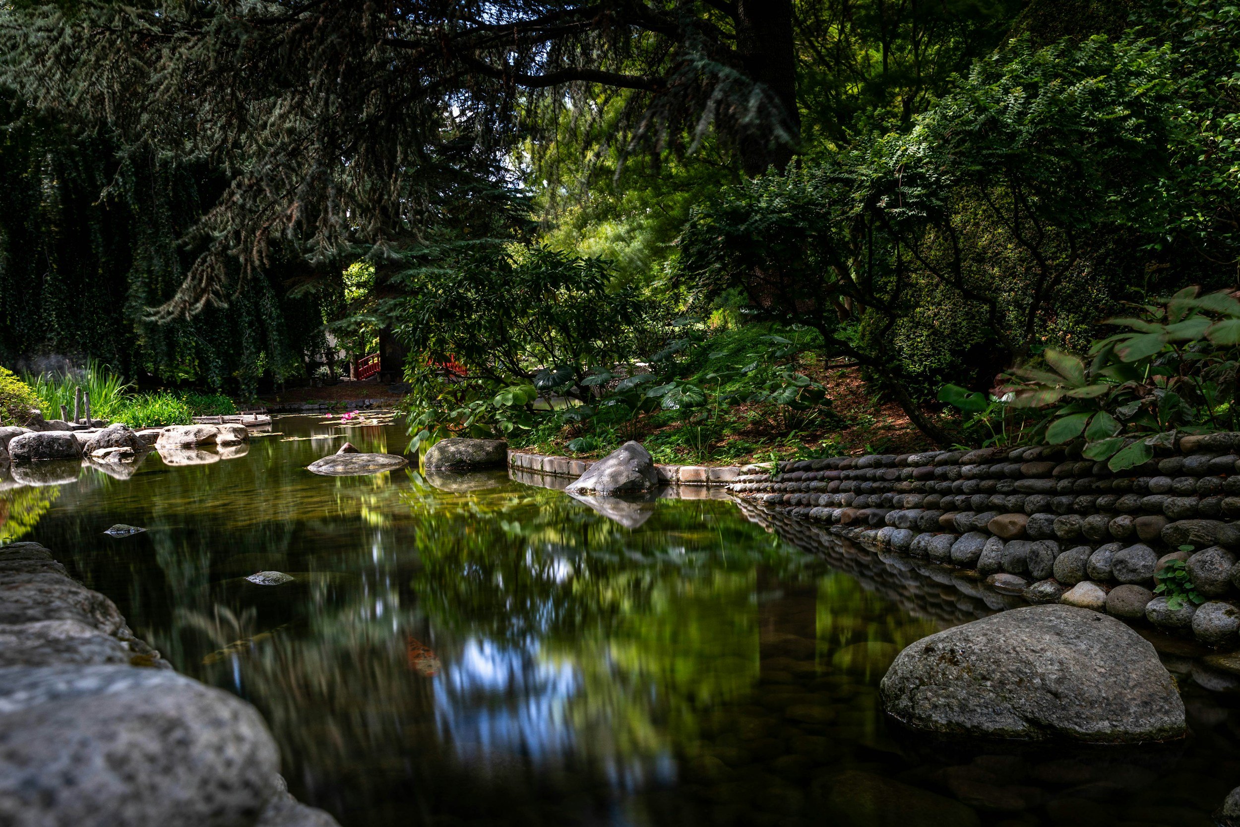 A peaceful garden pond surrounded by rocks and lush green trees and bushes, with a red bridge visible in the background.