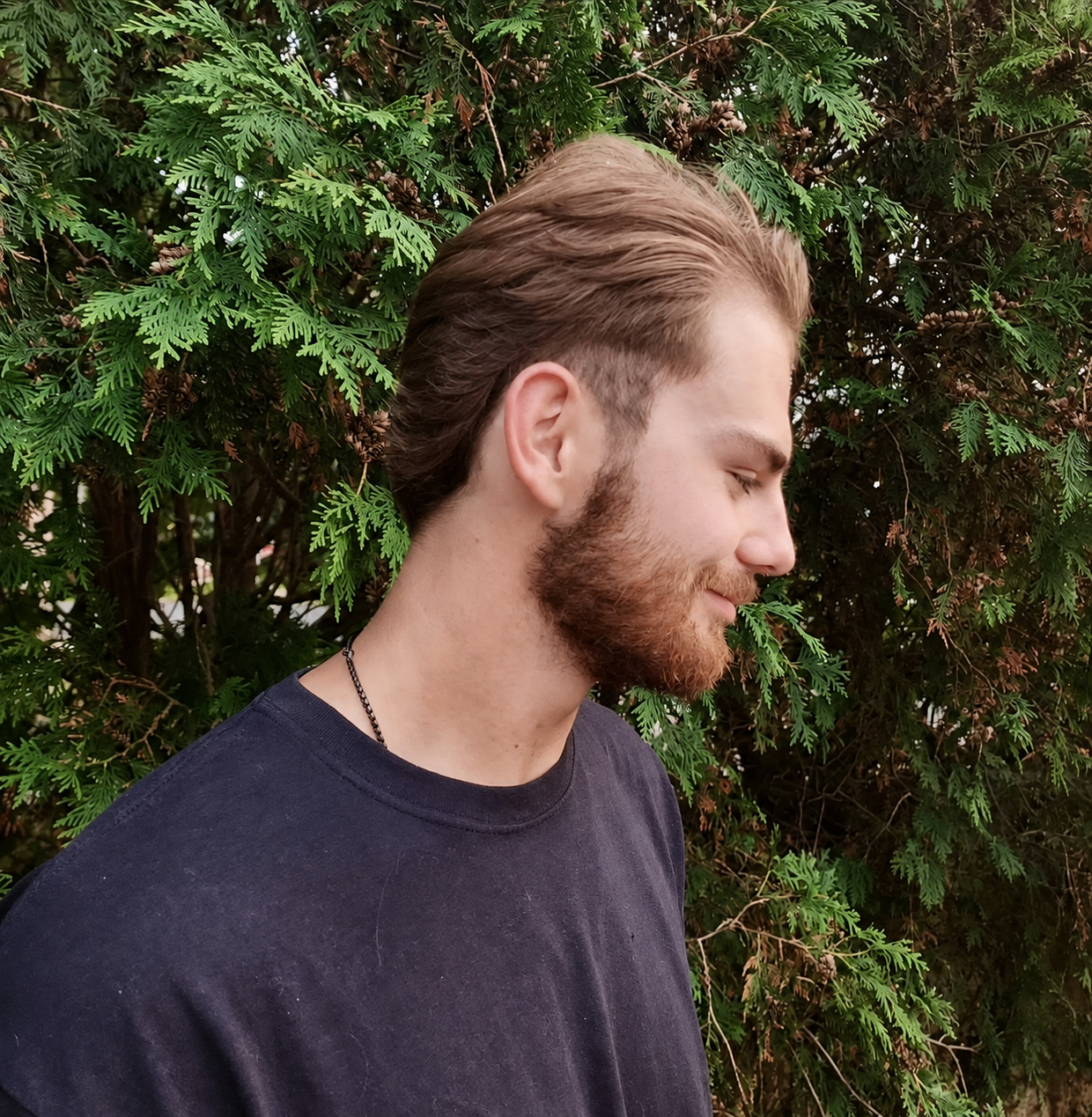 Men's Hairstyle