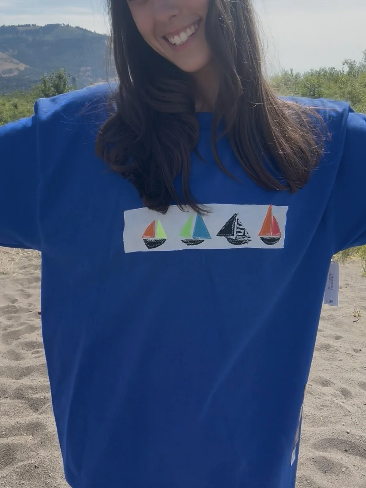 Sailboats (Blue)