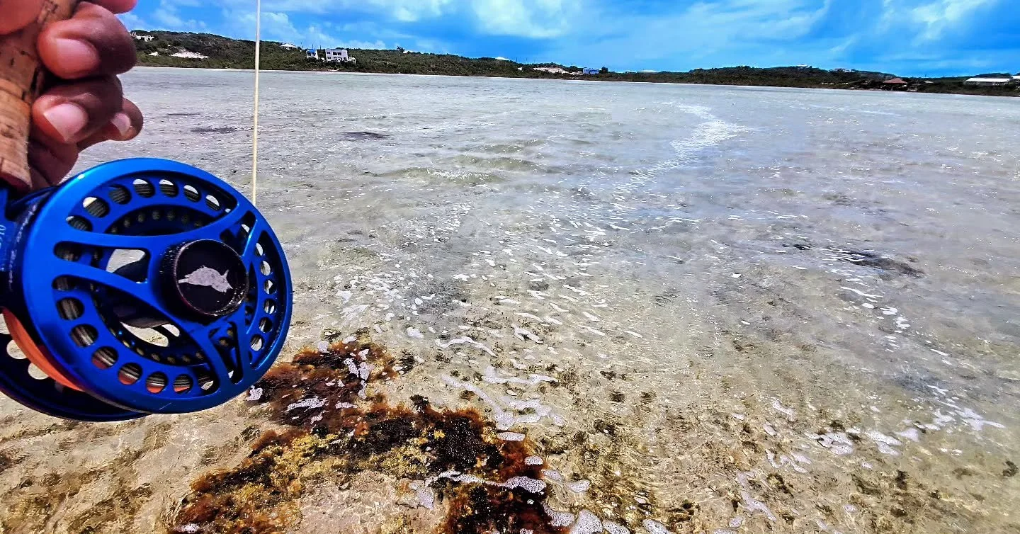 It can even be done in your own back yard!!! Spot the fish if your eyes are good.