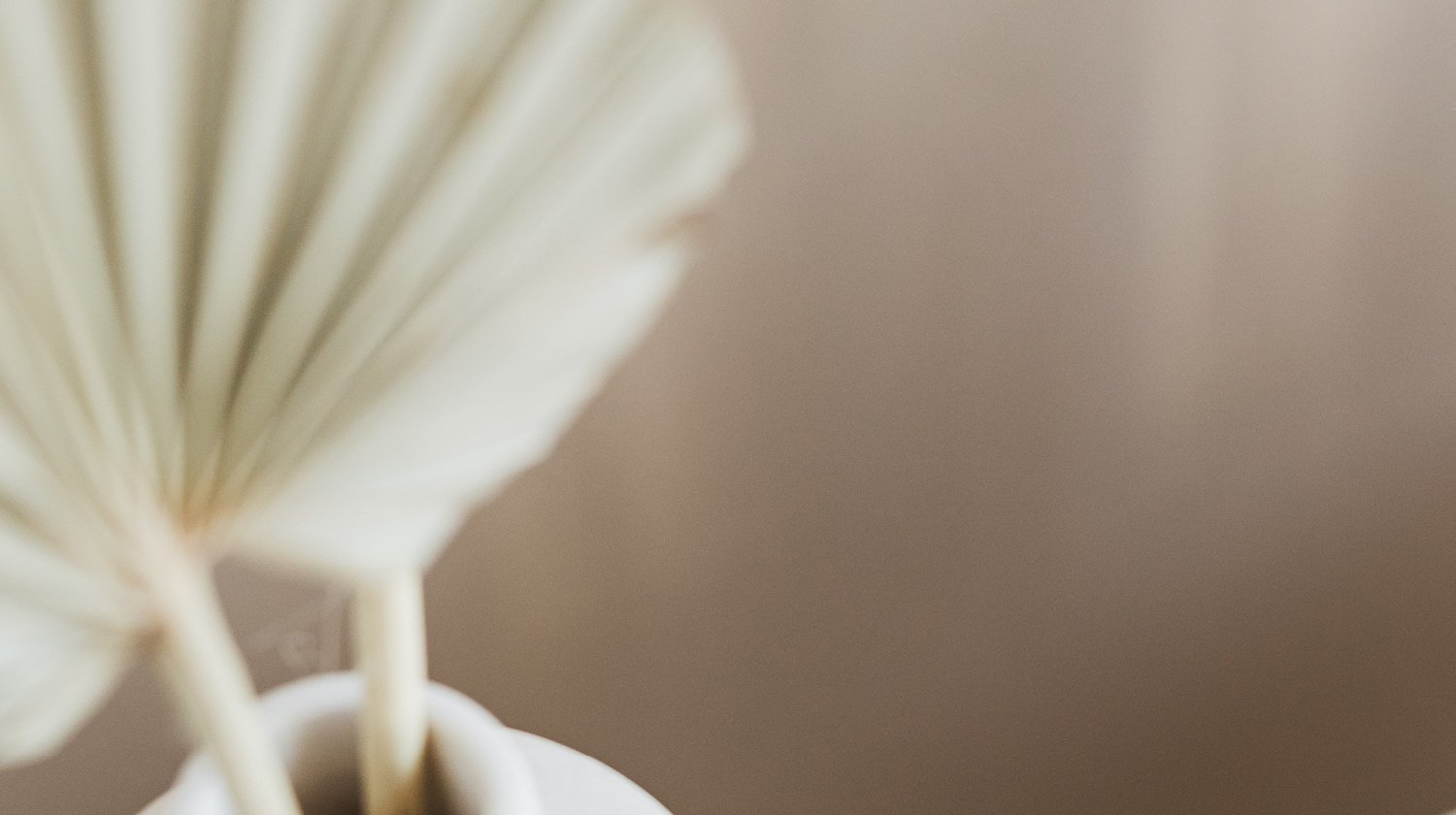 Close-up of white flowers in a vase against a neutral beige background