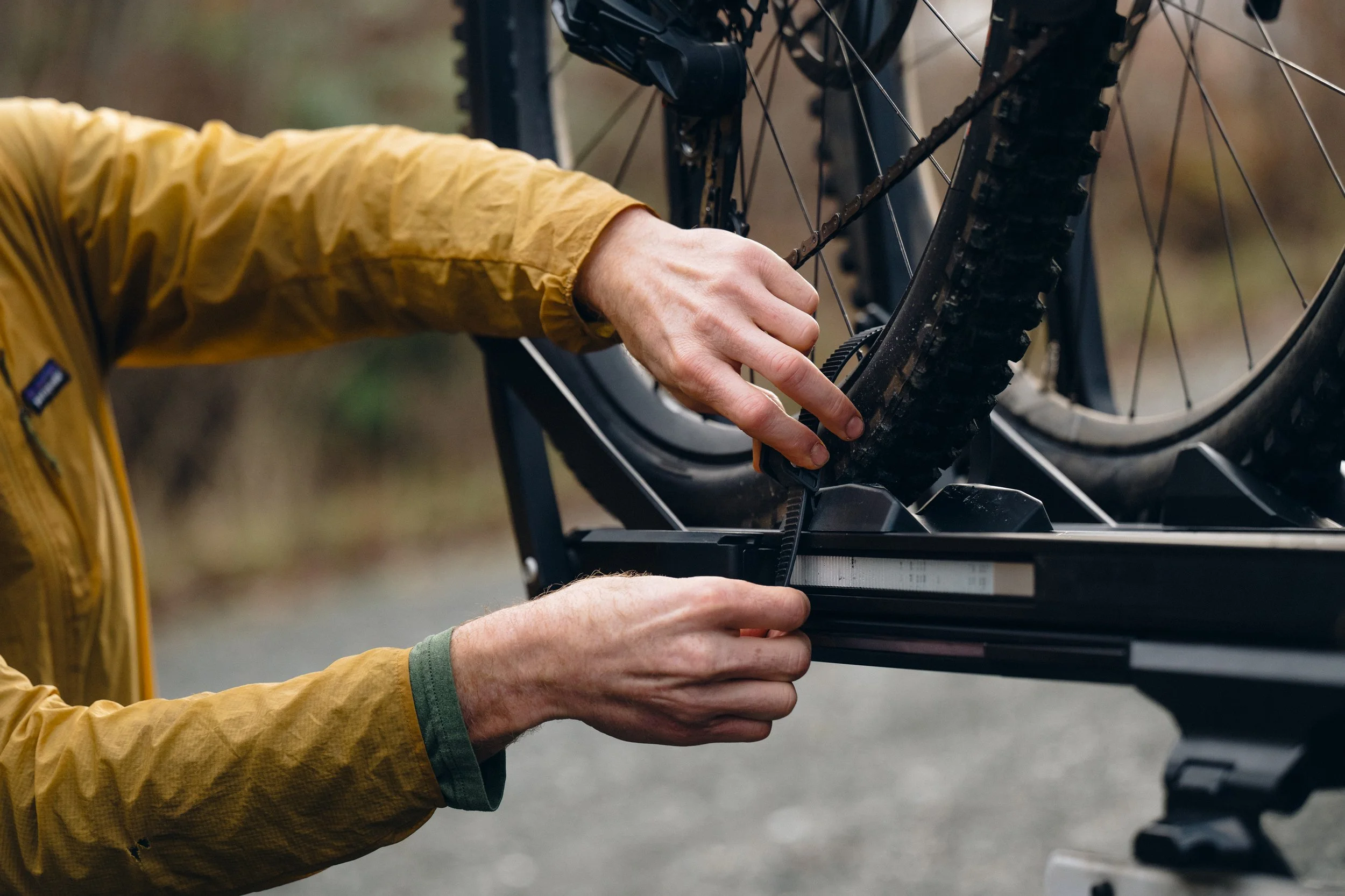 Freehub_Bellingham_PistonION_3816_Expires_2-3-28.jpg