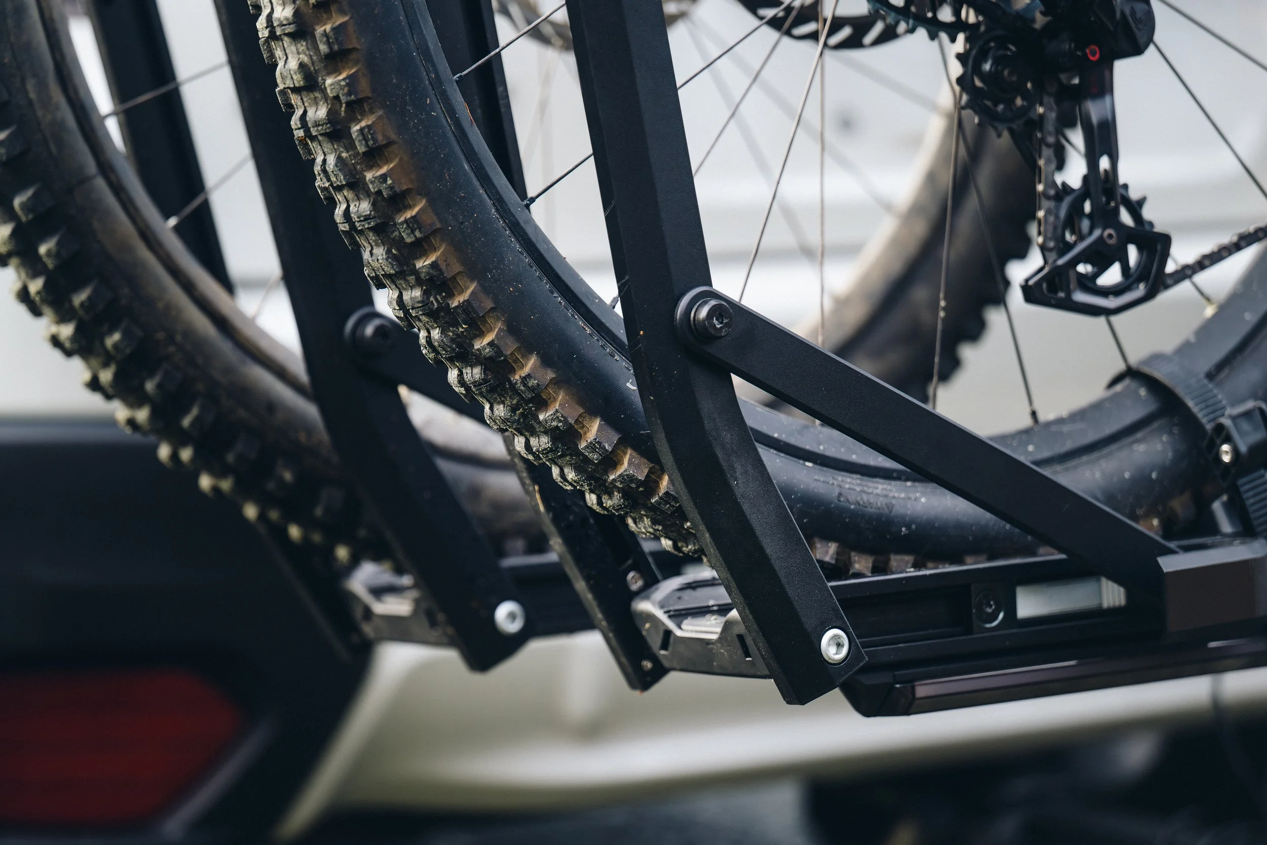 Freehub_Bellingham_PistonION_3974_Expires_2-3-28.jpg