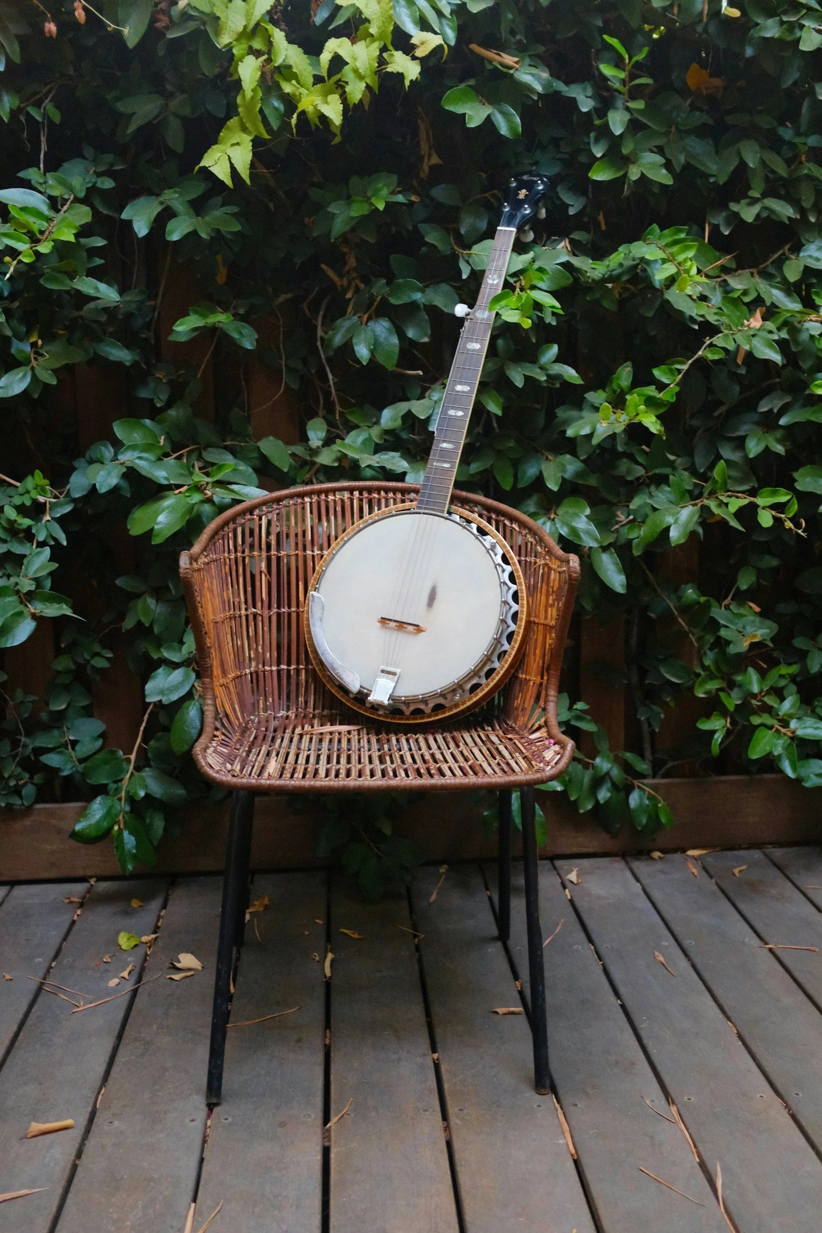 A banjo resting on a wicker chair outdoors, with green foliage in the background and a wooden deck floor with scattered fallen leaves.