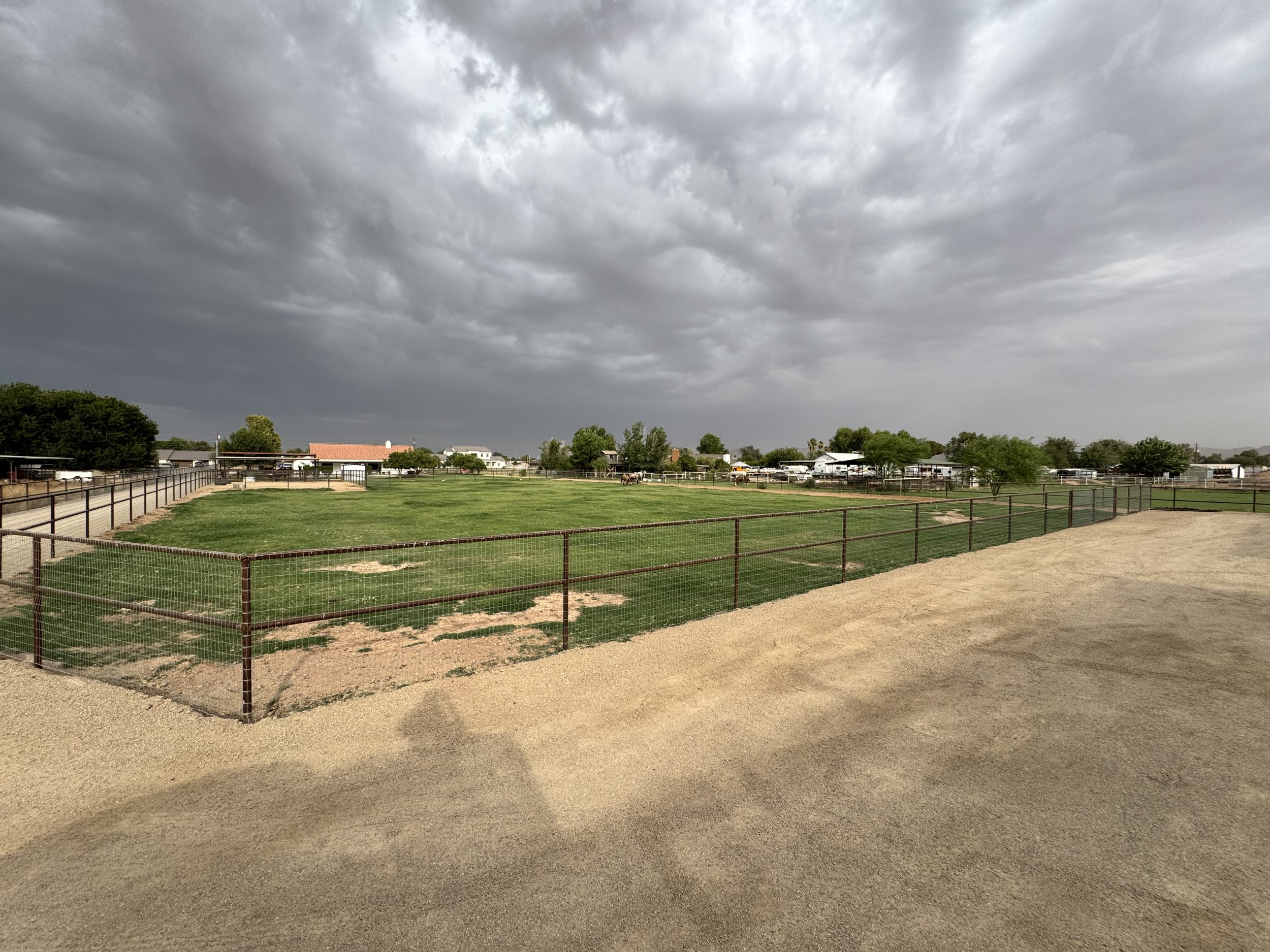 Gilbert Arizona, Queen creek az, Steel fencing, Pasture, Horse Pasture, Pasture wedding, Open field, Beautiful Pasture wedding, Green grass, Horses, Cloudy Sky, Rain clouds over a pasture,