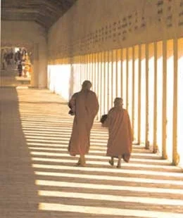  Book Review: Golden Earth