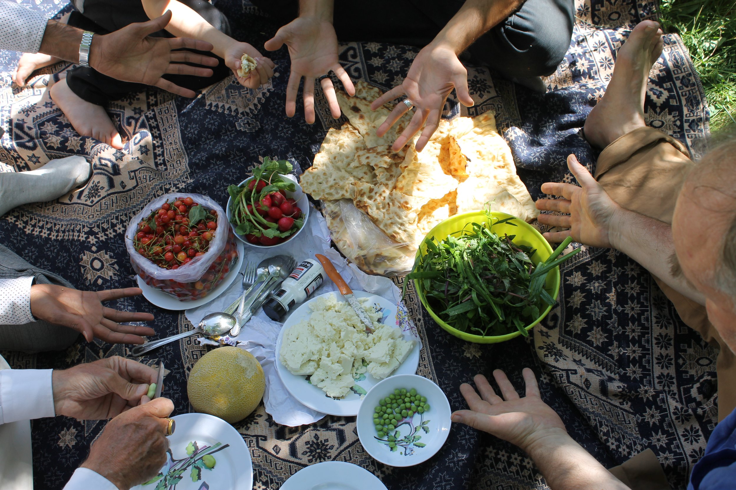 Persian Picnics by Barnaby Rogerson