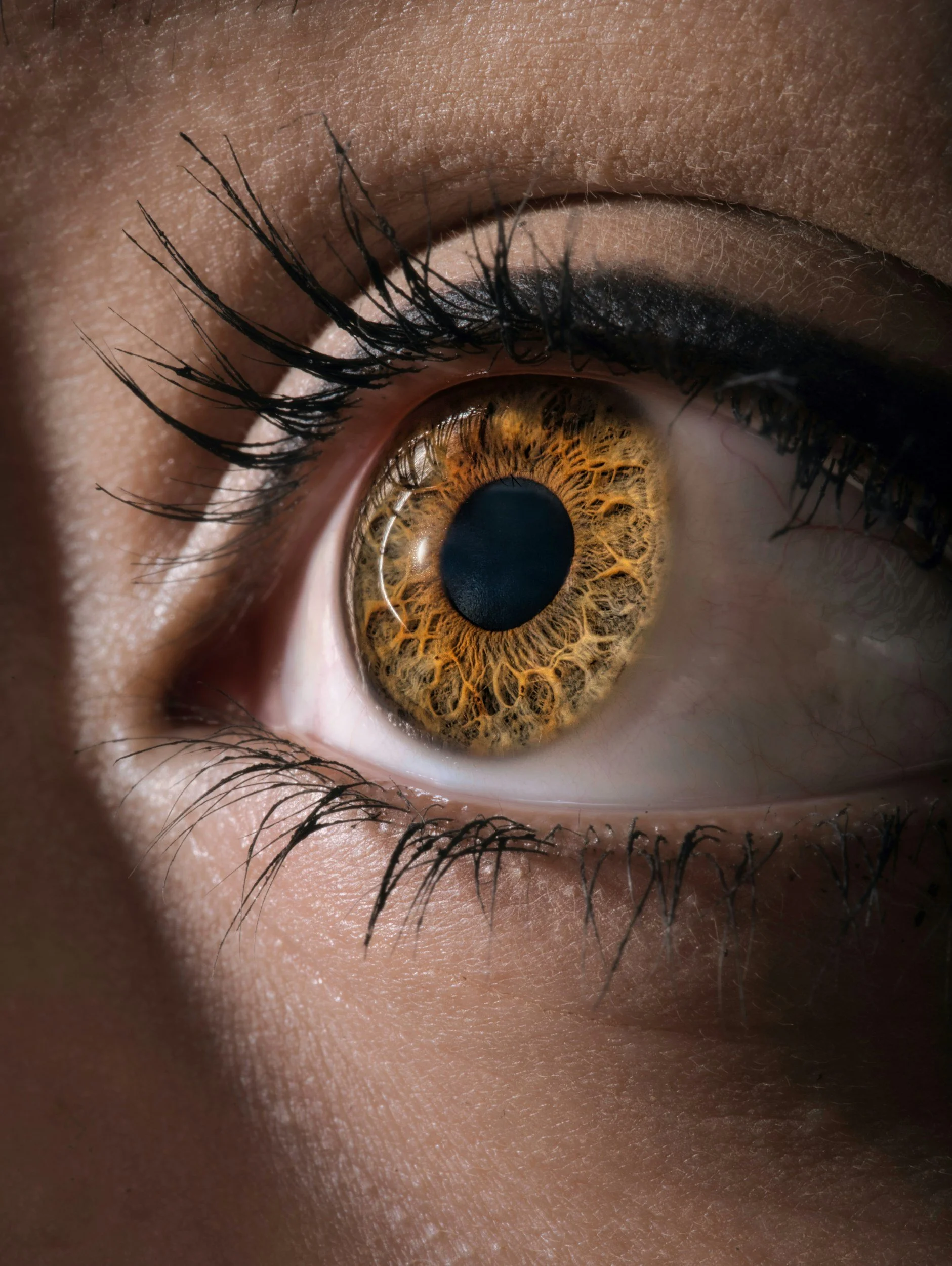 Close-up of a human eye with brown iris, black eyeliner, and long eyelashes.