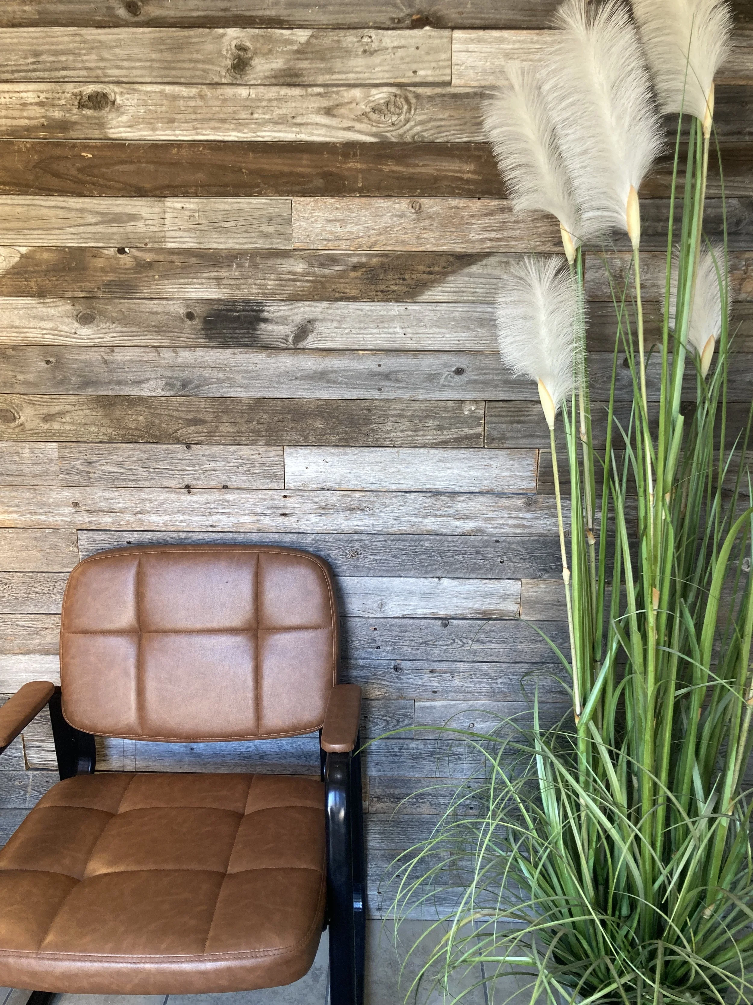 A brown leather armchair with black wooden arms and legs, positioned against a rustic wooden wall with vertical planks. To the right, there is a tall green plant with long, narrow leaves and white, fluffy pampas grass stems.