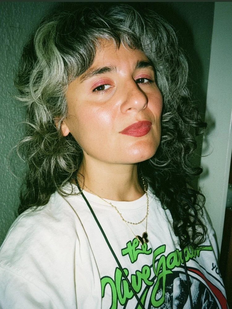 Award-winning writer and filmmaker, Naz Riahi teaches inclusive, all-levels writing classes