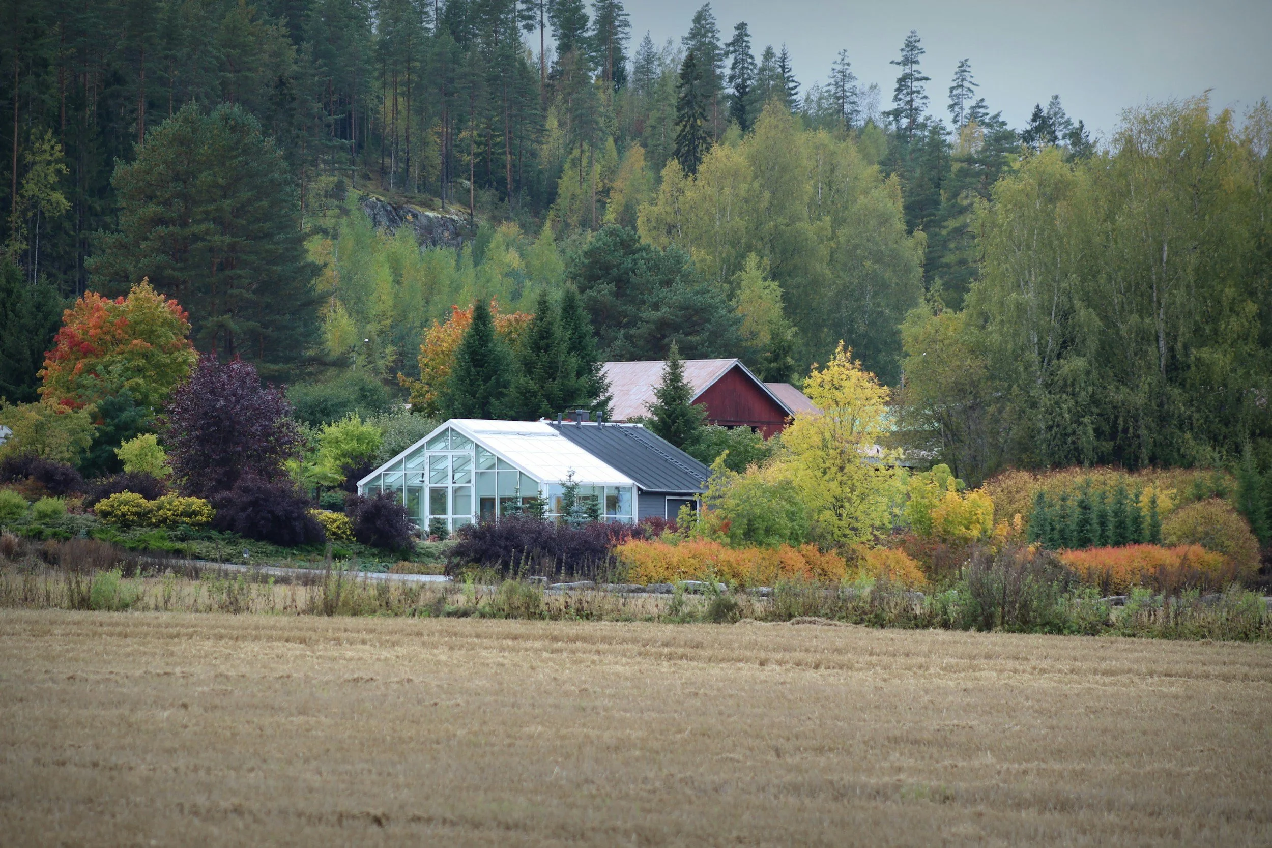 A landscape view of a rural setting with trees and a few buildings, including a greenhouse, with a forested hillside in the background.