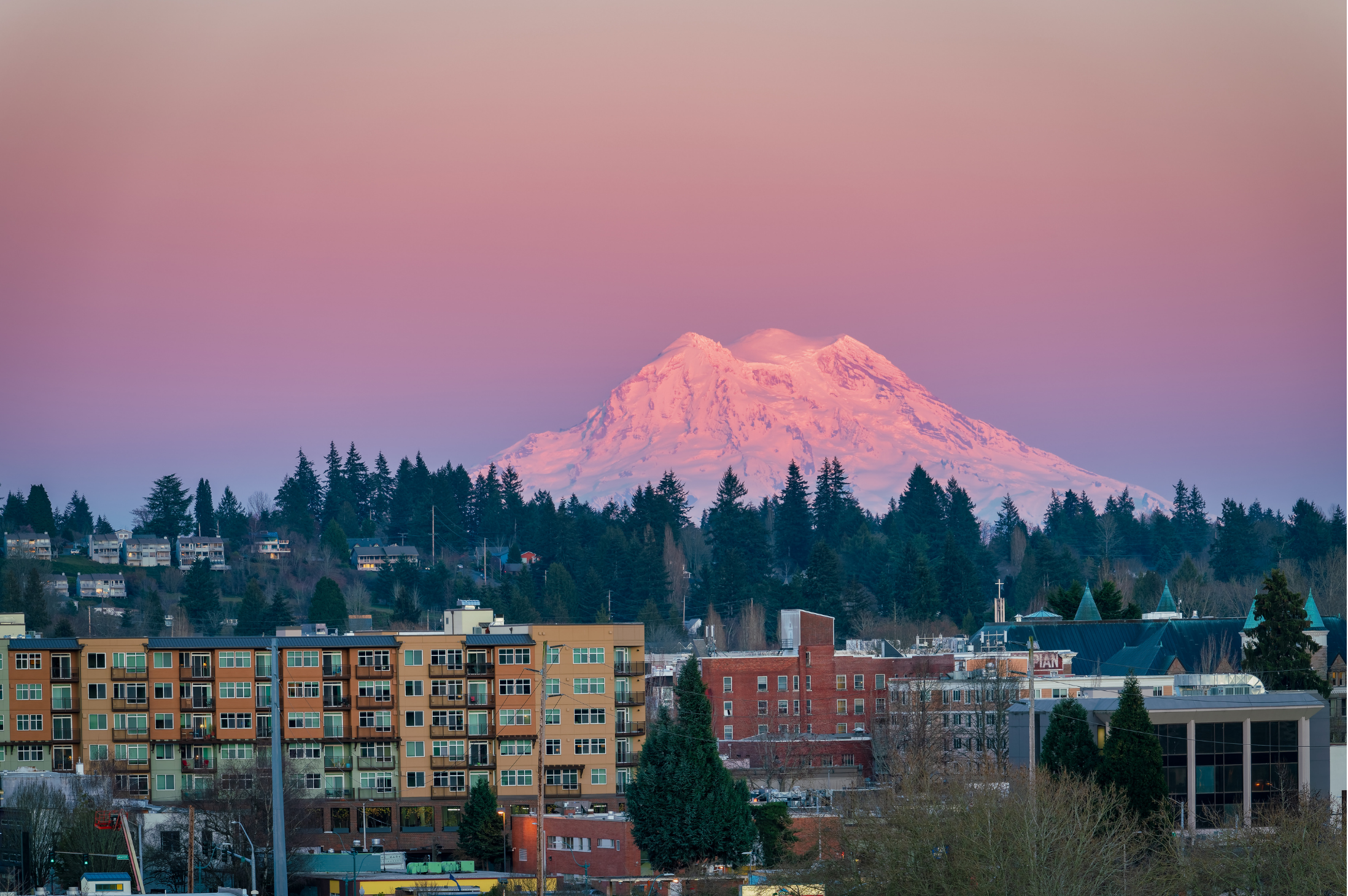 Snow-capped mountain in the distance with a pinkish sky, situated behind a cityscape of mid-rise apartment buildings, trees, and various urban structures.