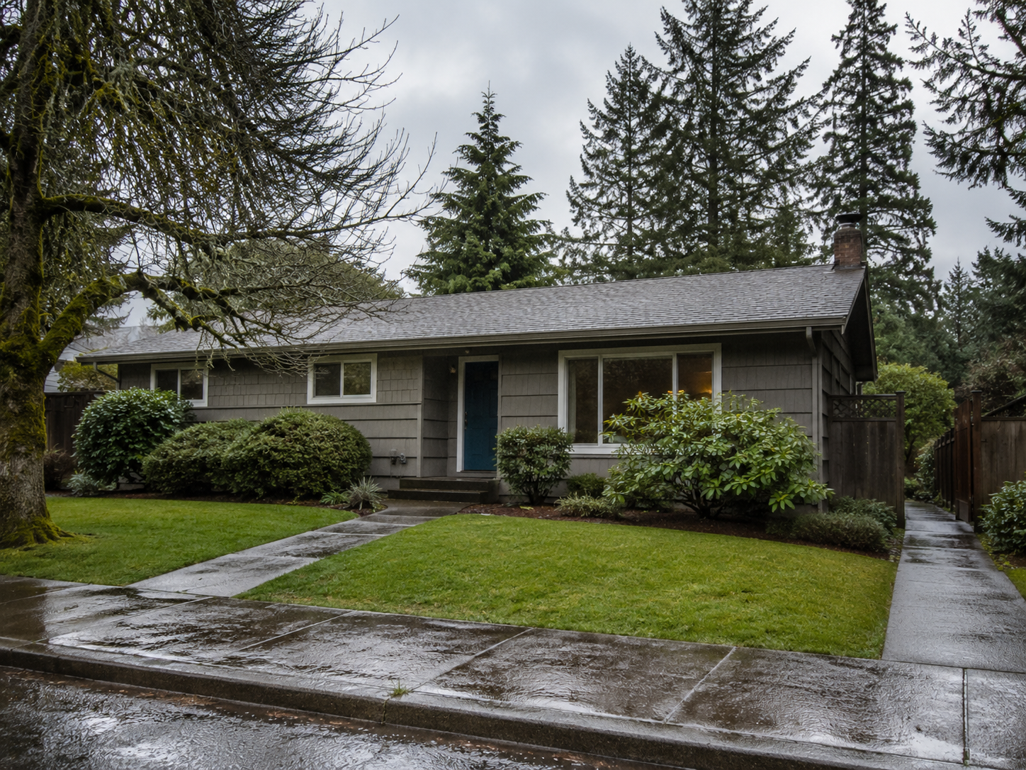 Front yard of a gray house with a blue door, surrounded by green bushes and trees, wet sidewalk and driveway from rain, cloudy sky.