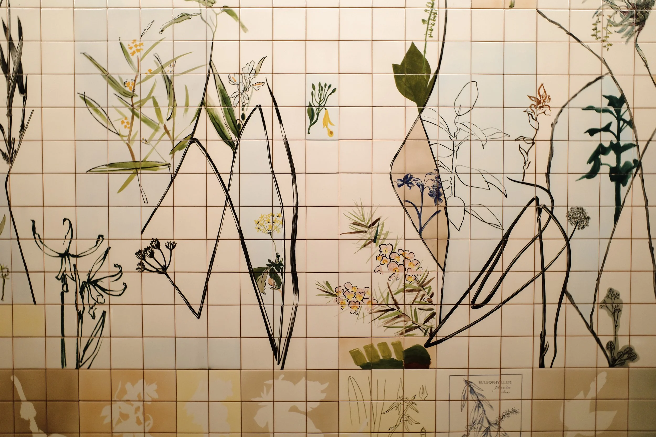 Decorative wall with botanical illustrations and black outline sketches of plants and flowers, arranged on a grid background.
