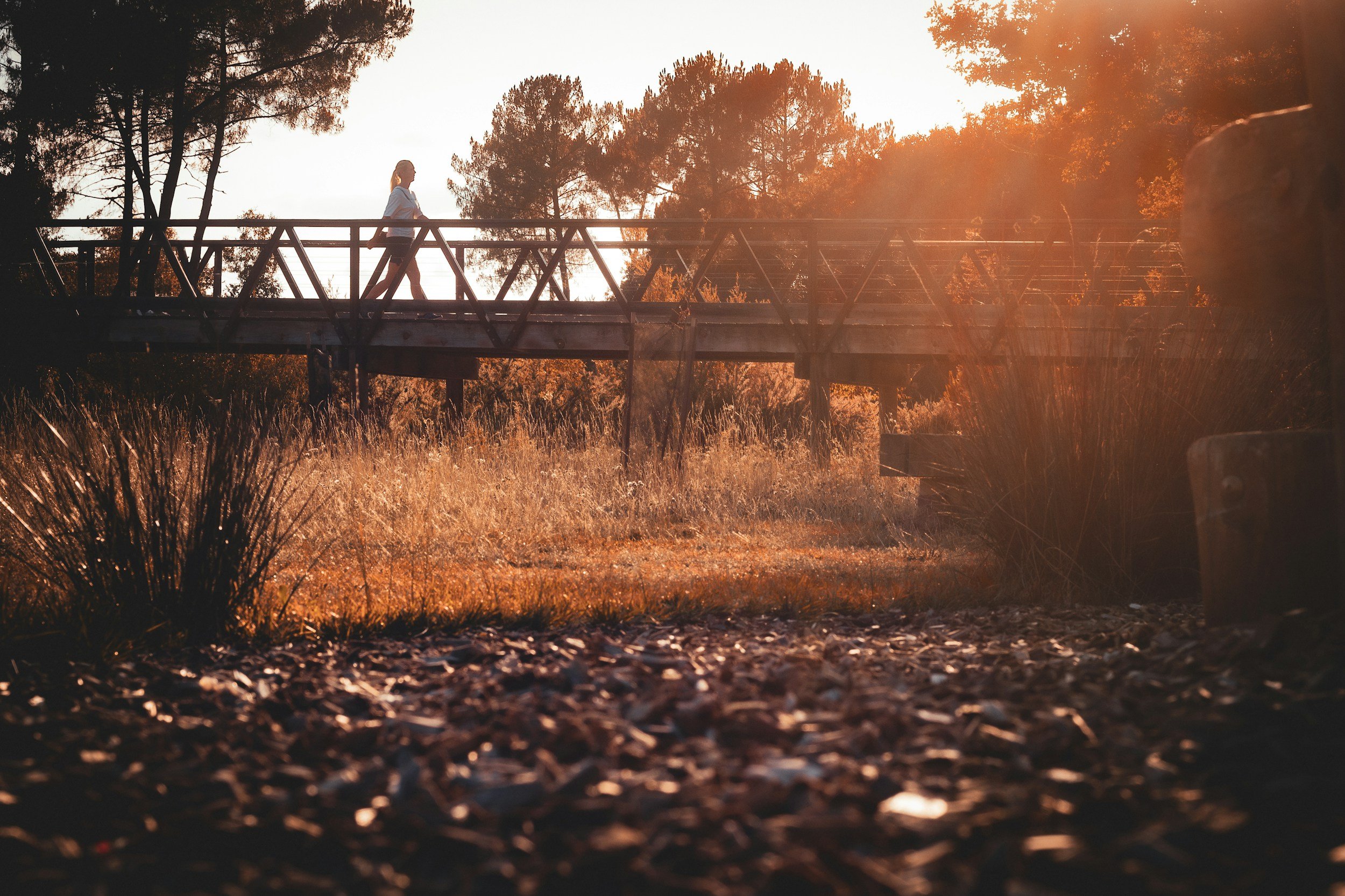 A person walking across a wooden bridge in a wooded area during sunset, with tall trees and golden light.