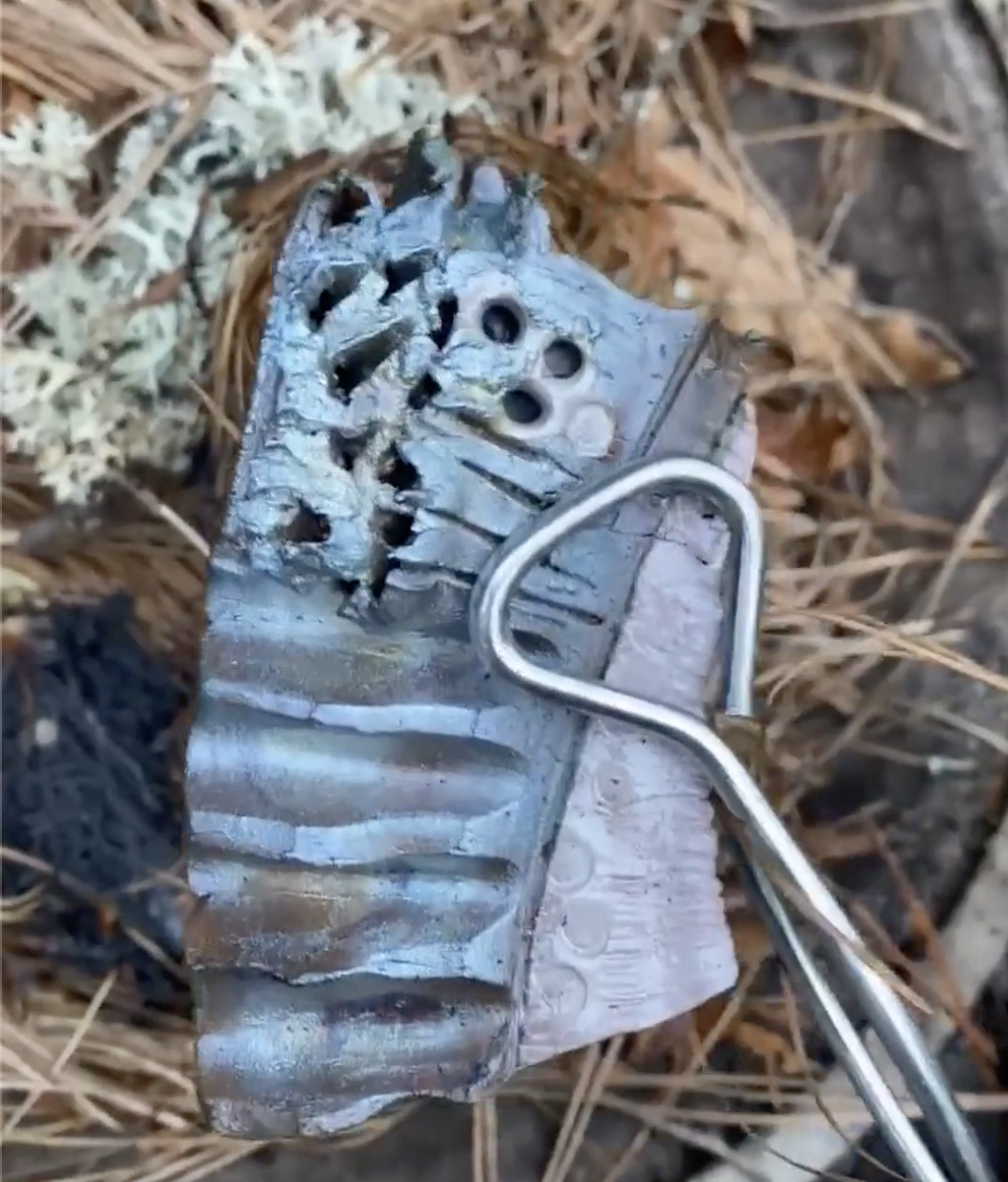 A burnt and melted electronic circuit board with a metal hook or tool attached, lying on dry grass and soil.