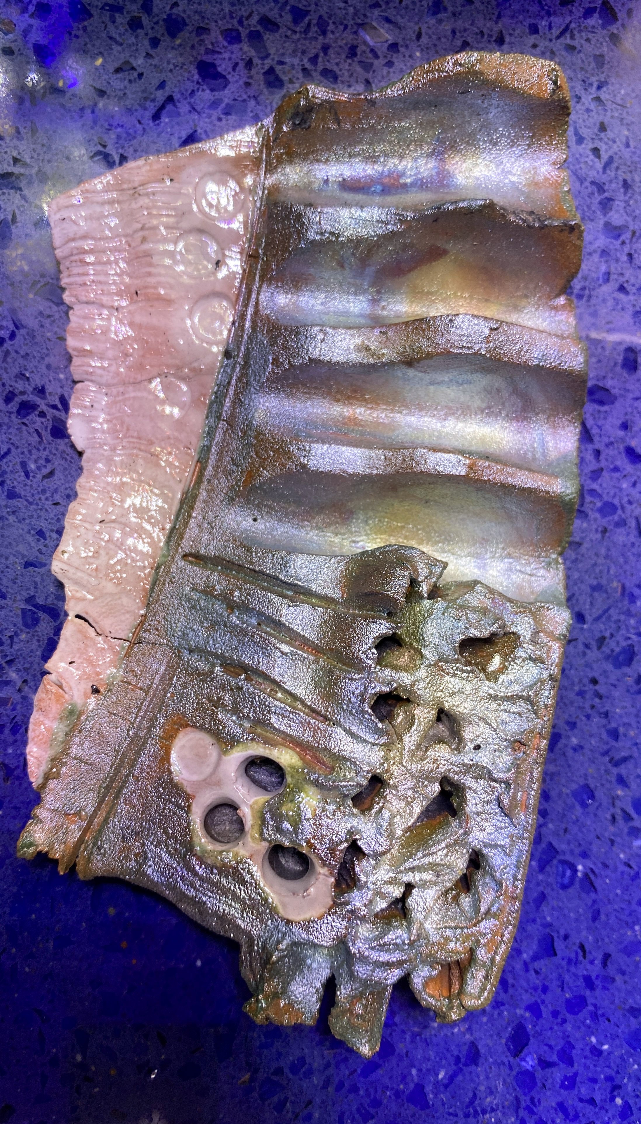 Close-up view of a fish skeleton on a dark blue textured surface.