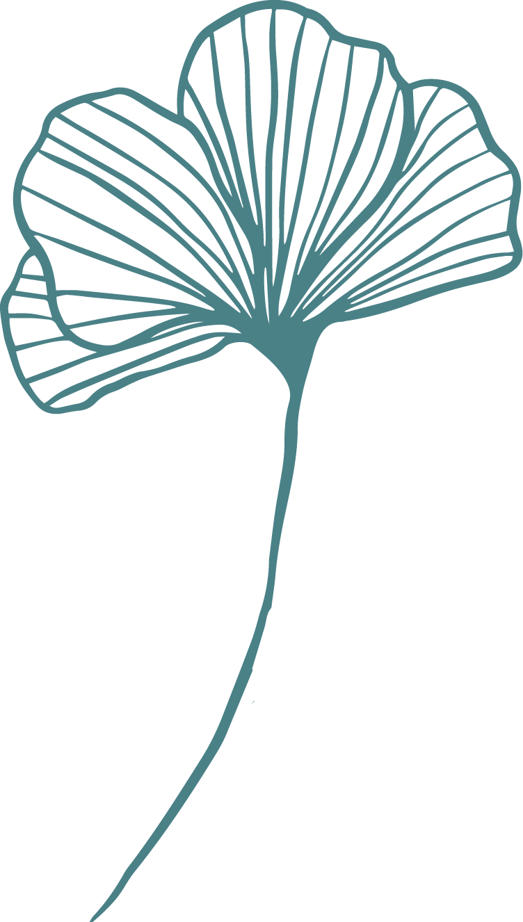 Line drawing of a ginkgo leaf with detailed veins, in teal color on a black background.