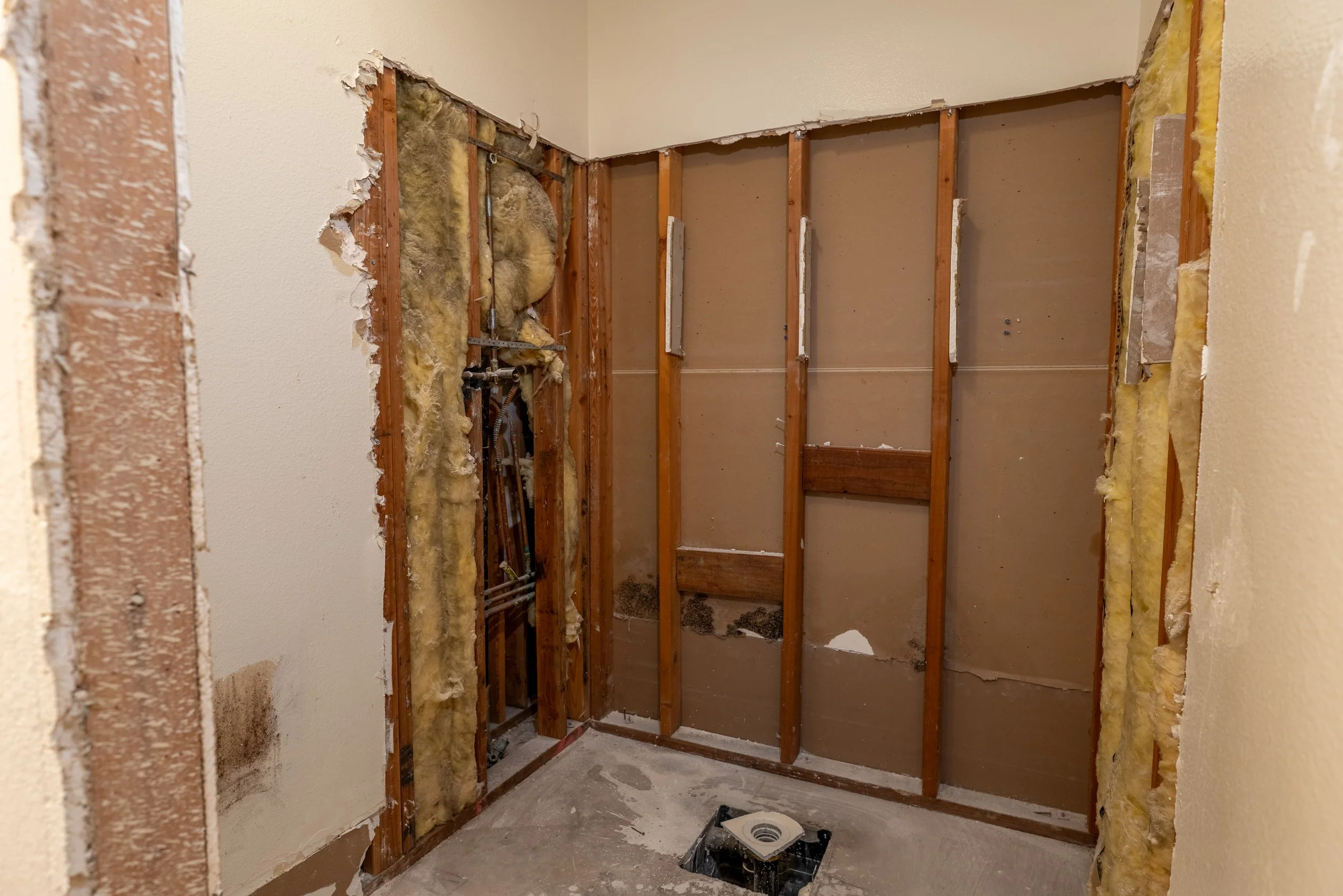 Bathroom Demo