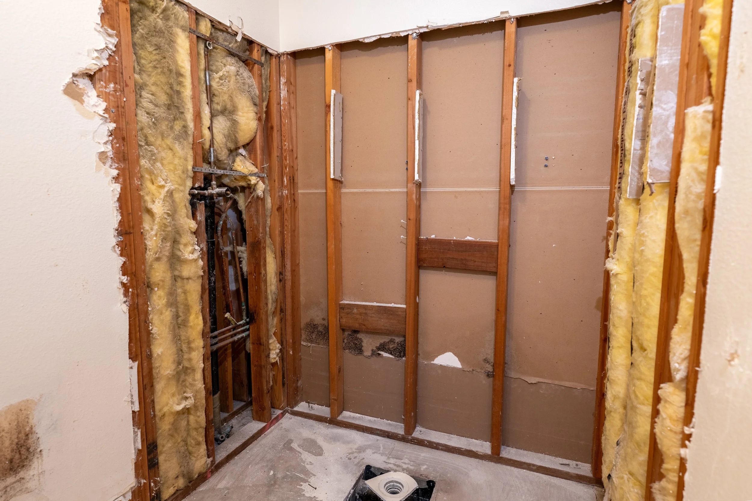 Bathroom Demo