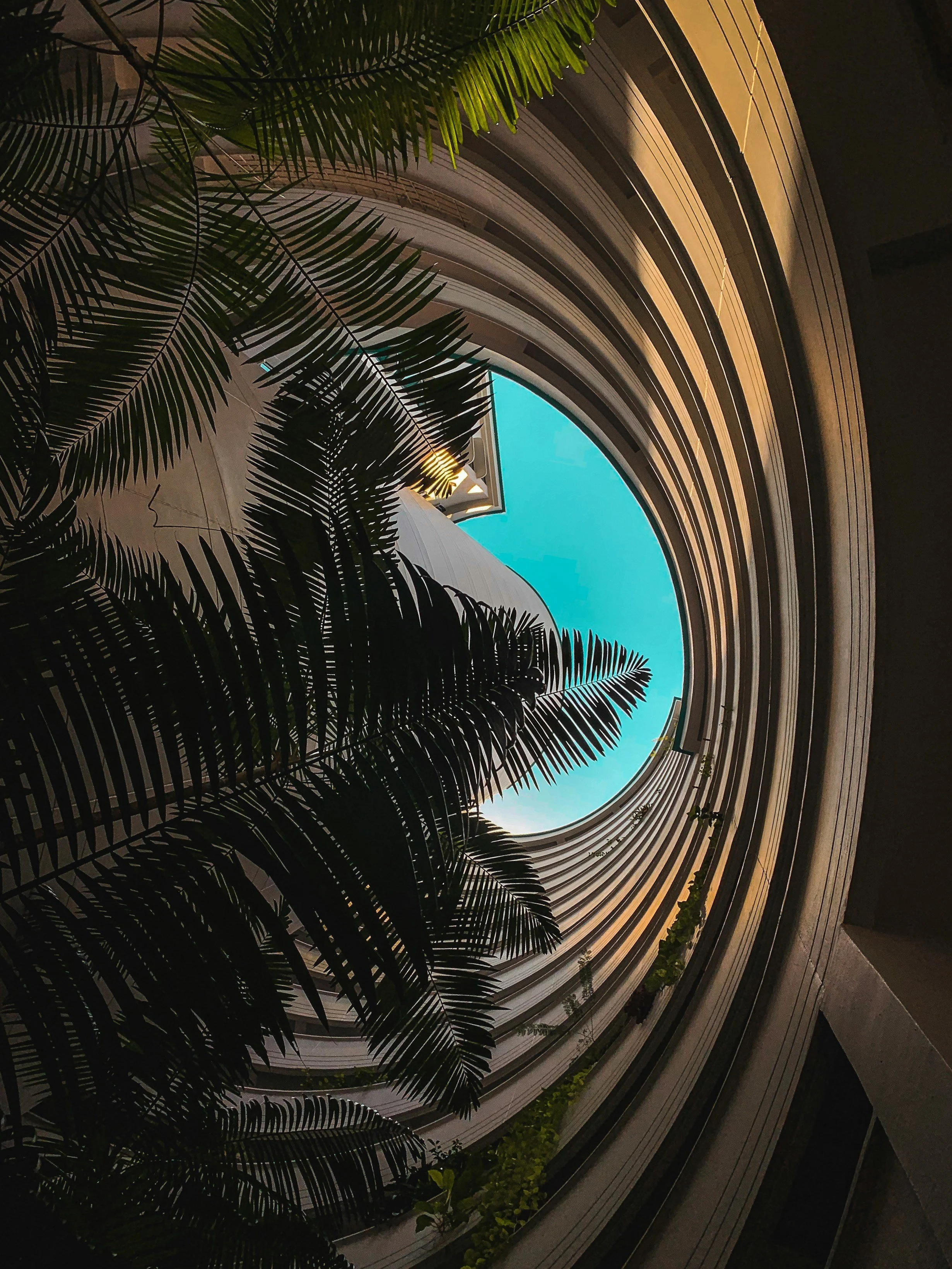 Looking up at a circular outdoor atrium with layered balconies, a palm tree in the center, and a blue sky visible at the top.