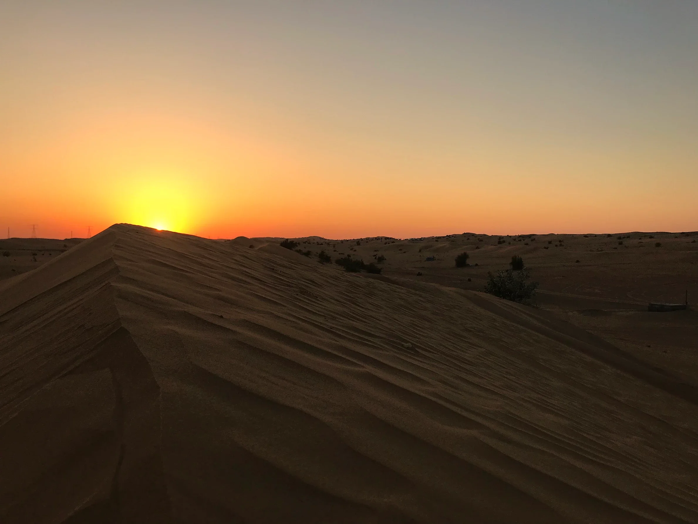Dubai | United Arab Emirates