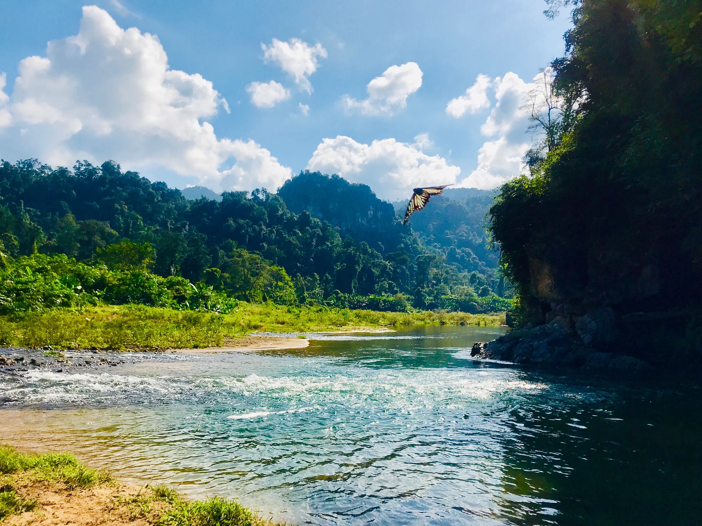 Phong Nha-Kẻ Bàng National Park | Quang Binh, Vietnam