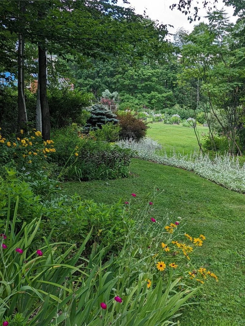 PXL_20220801_193842166.jpg