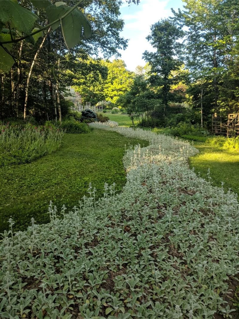 IMG_20180703_184102.jpg