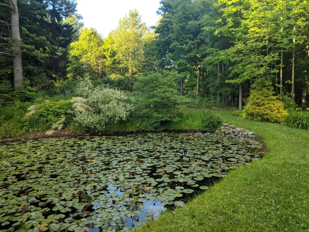 IMG_20180703_183958.jpg