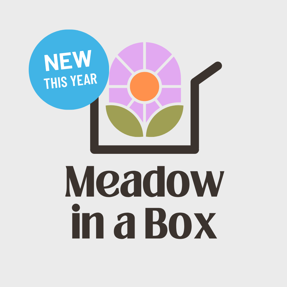 Meadow In a Box