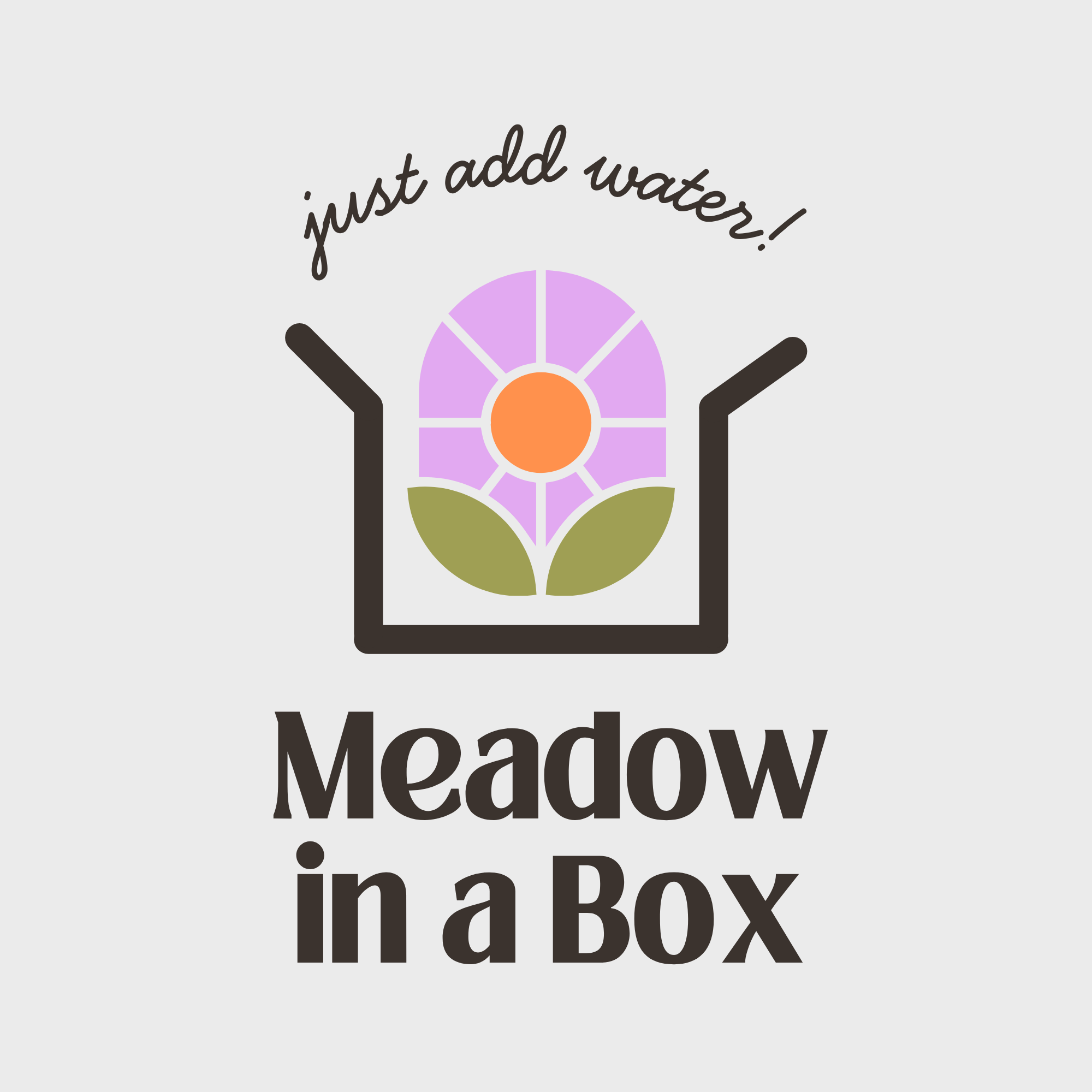 4CF - Meadow in a Box Logo (1).png