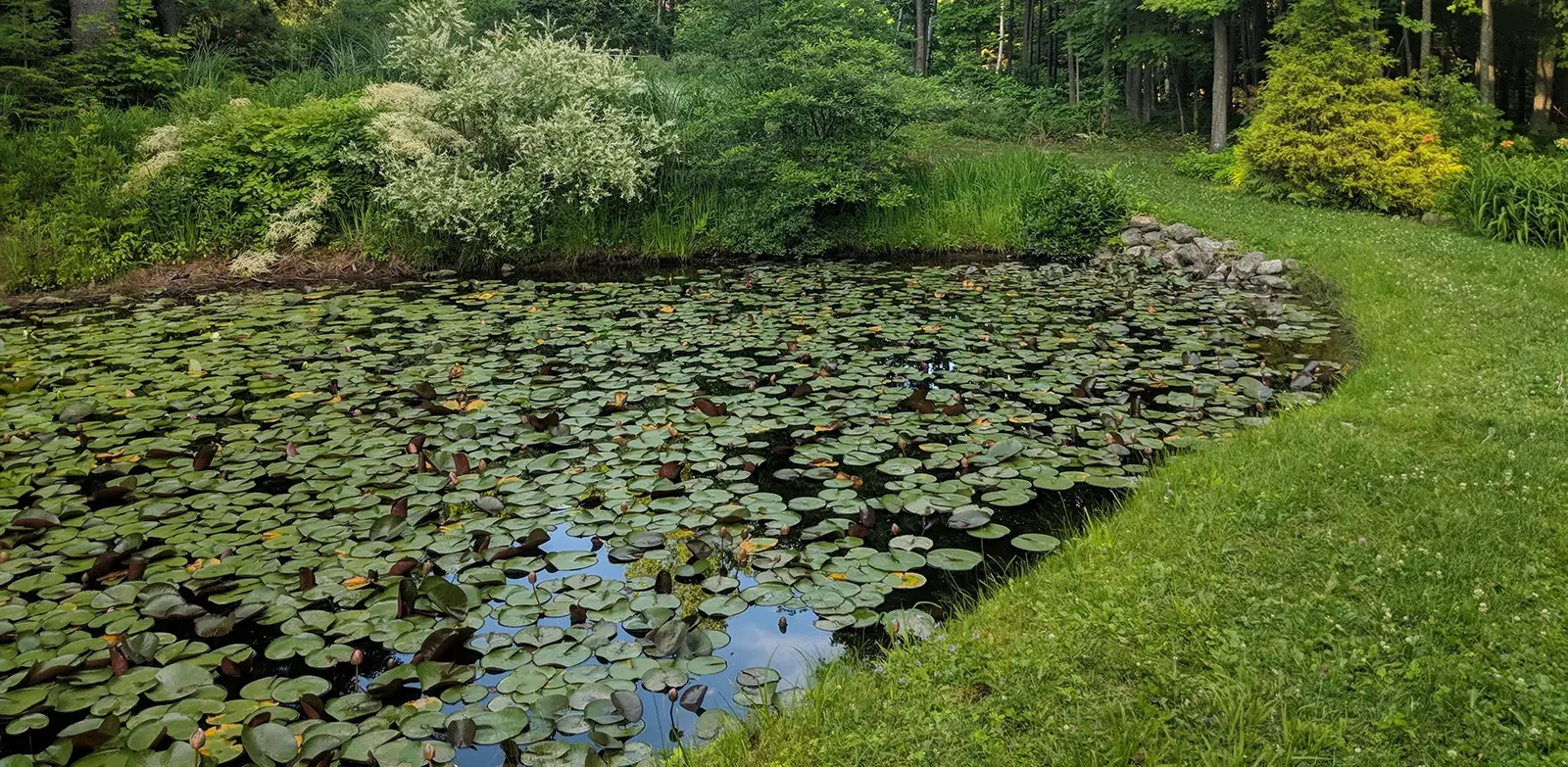 2027 Native Plant Sale