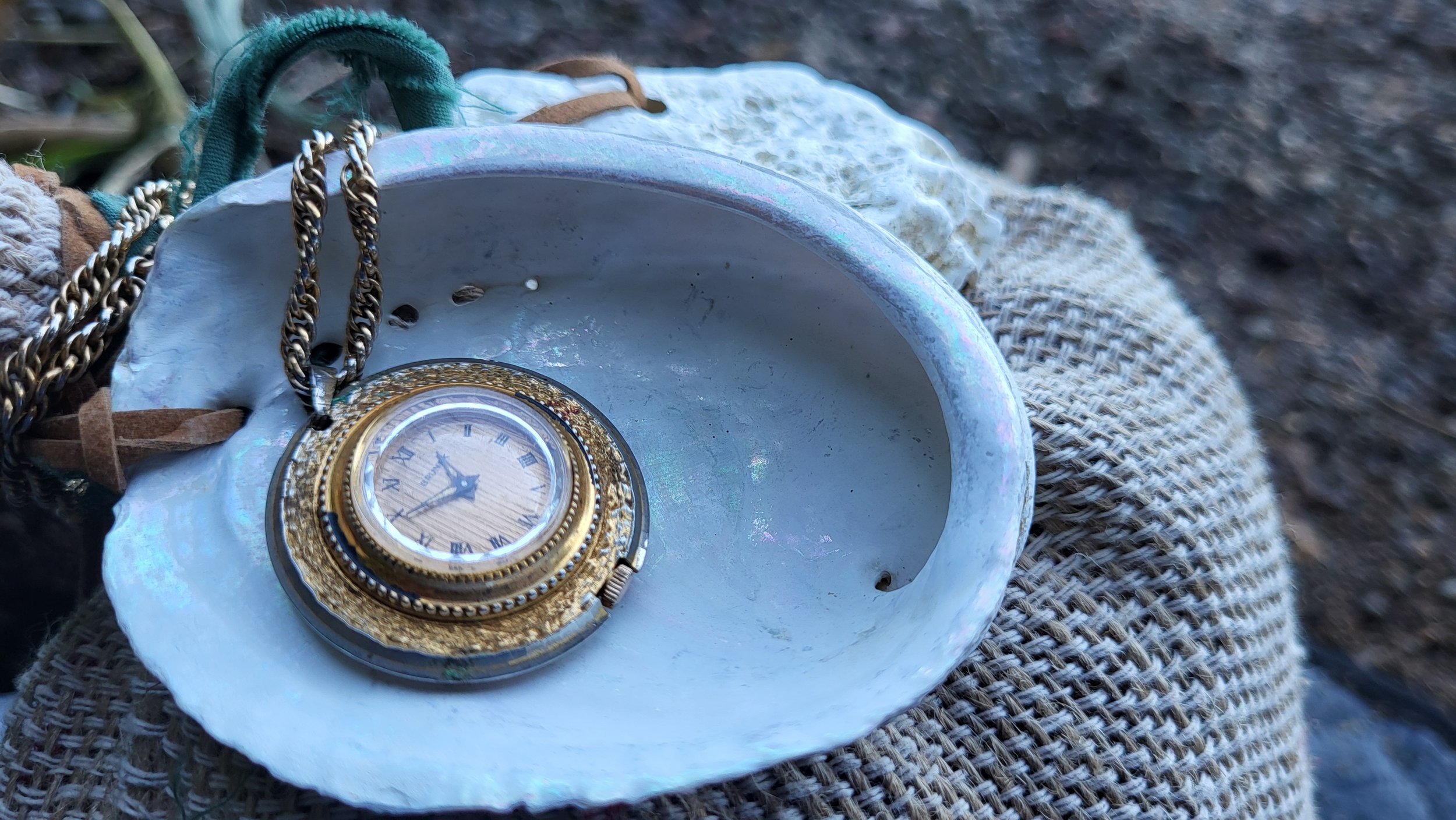 close up golden watch and shell