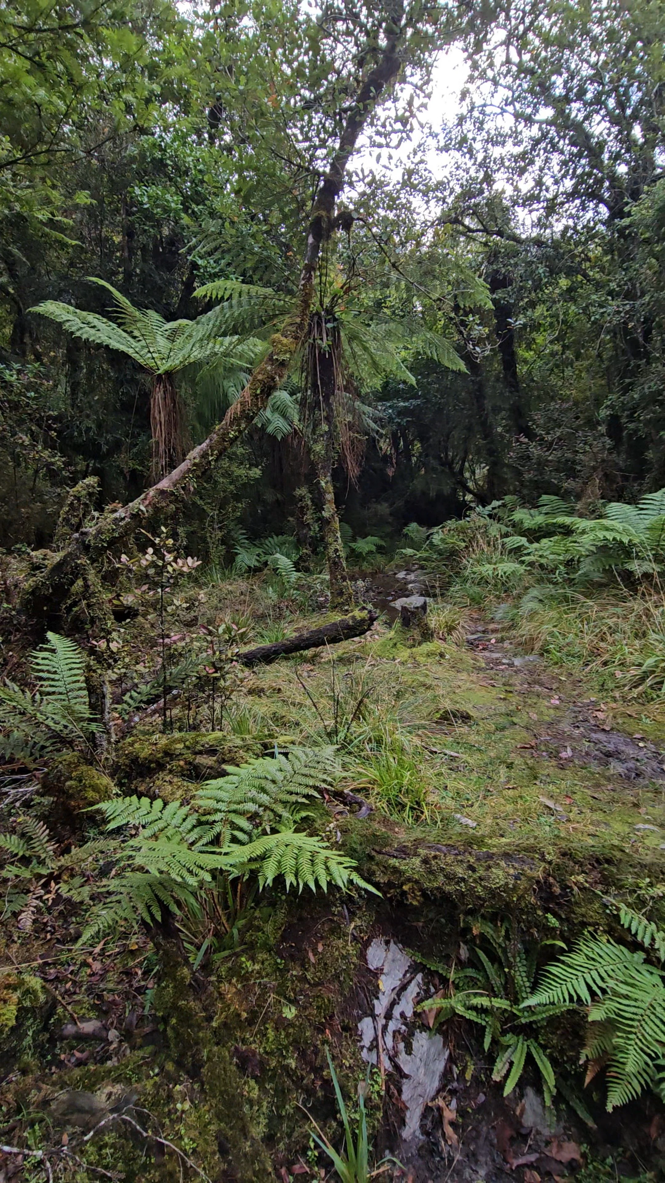 20260524_155051.jpg