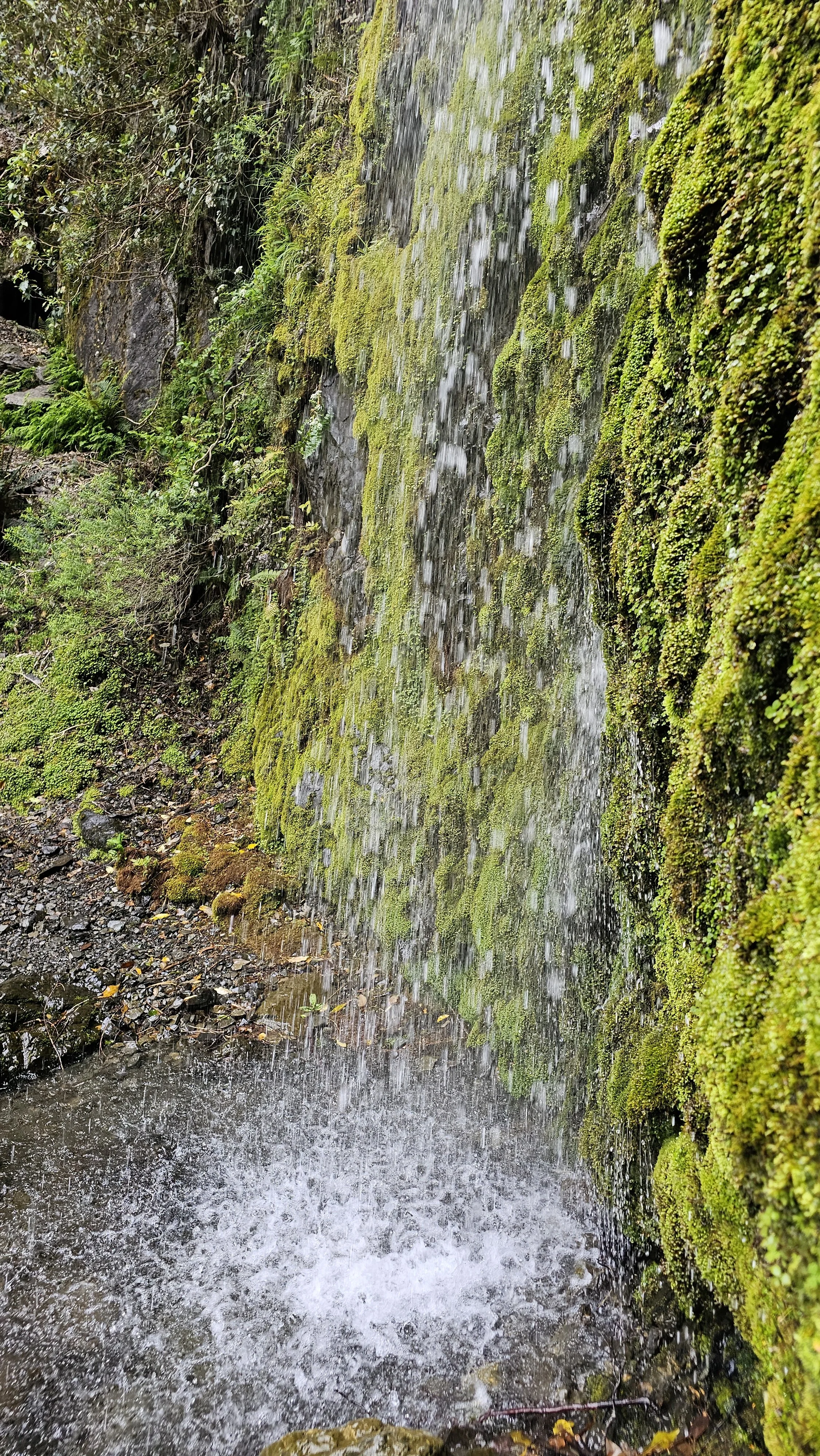 20251220_142536.jpg