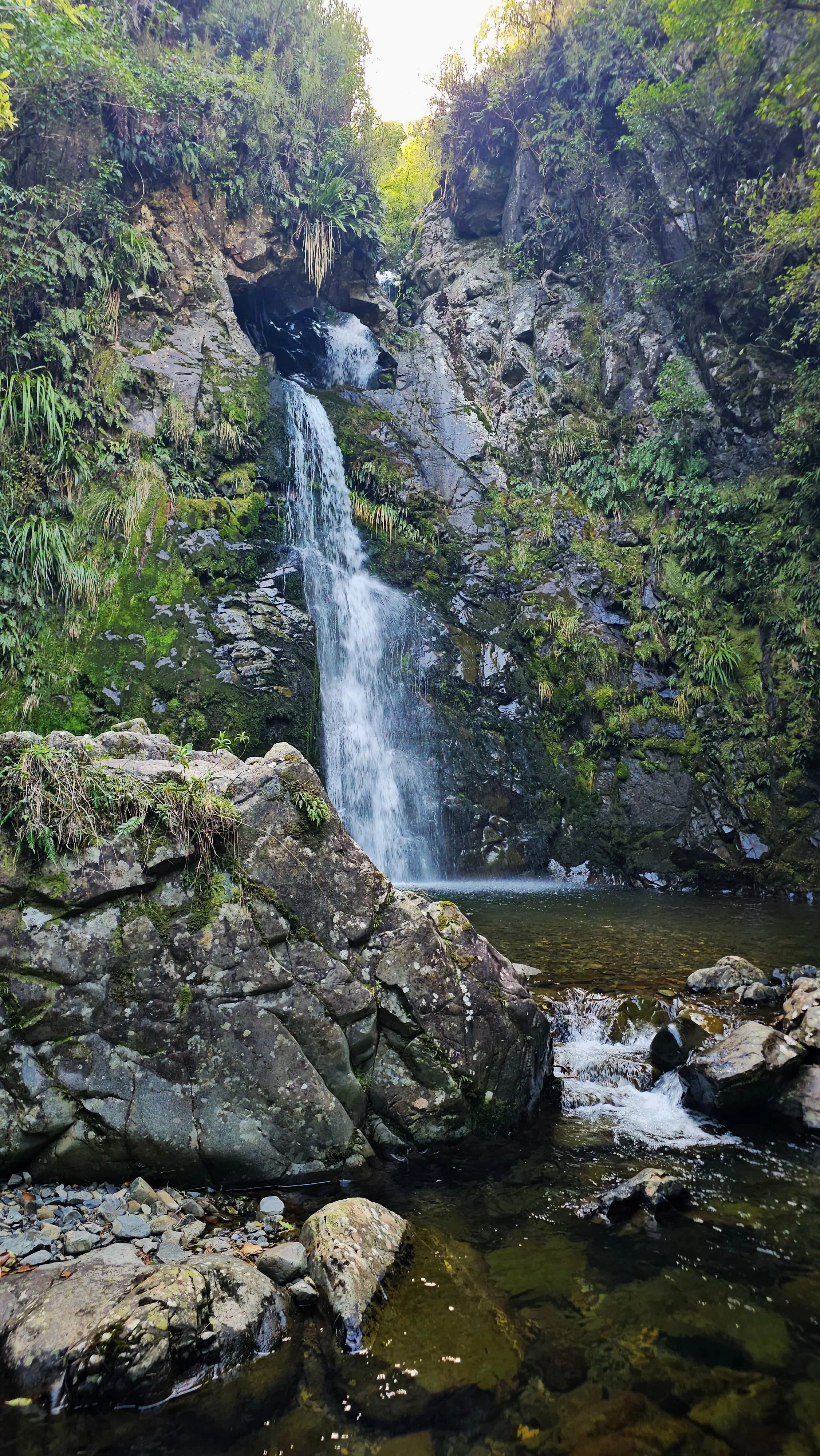 20260822_145140.jpg
