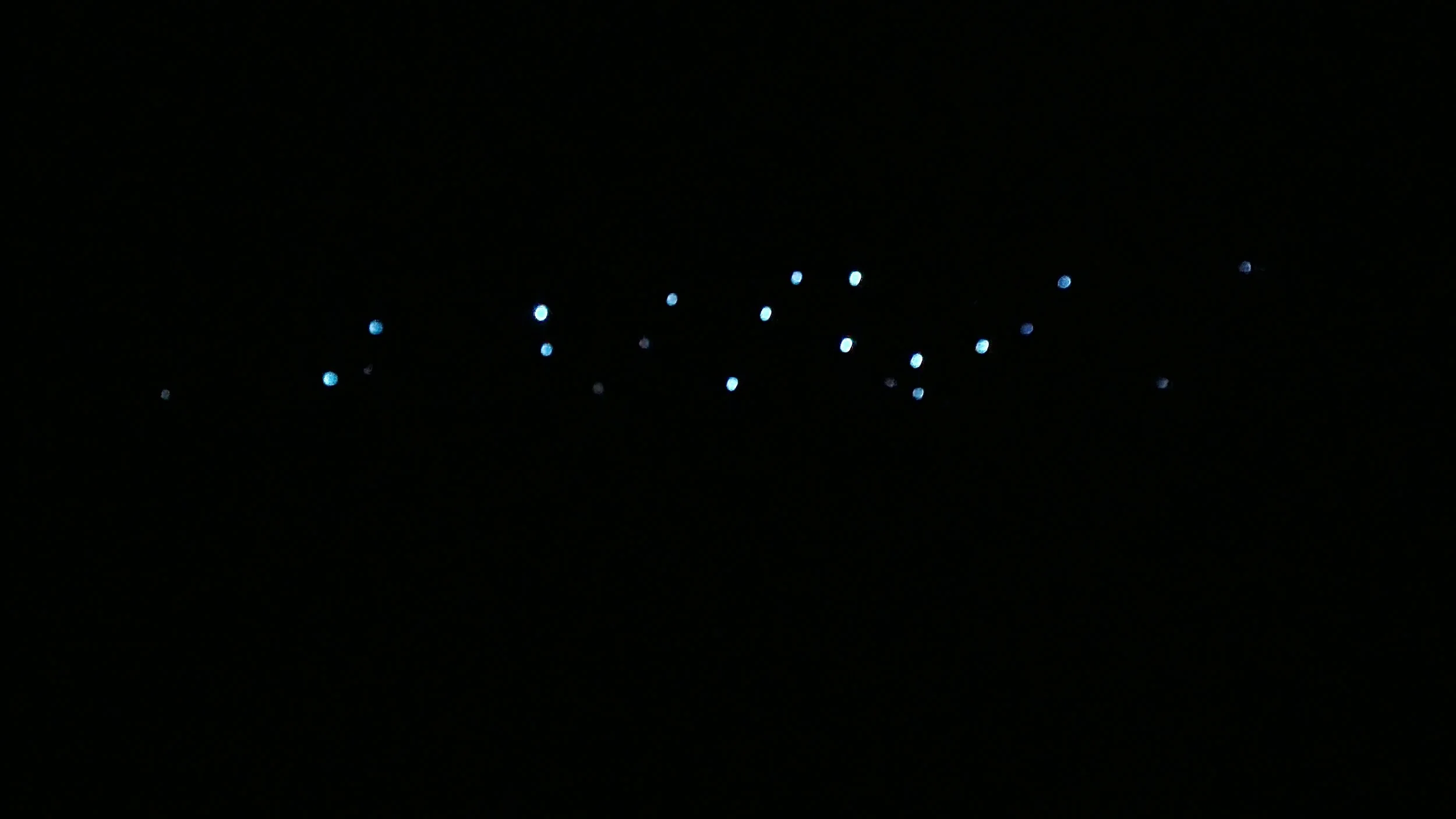 20260307_211749.jpg