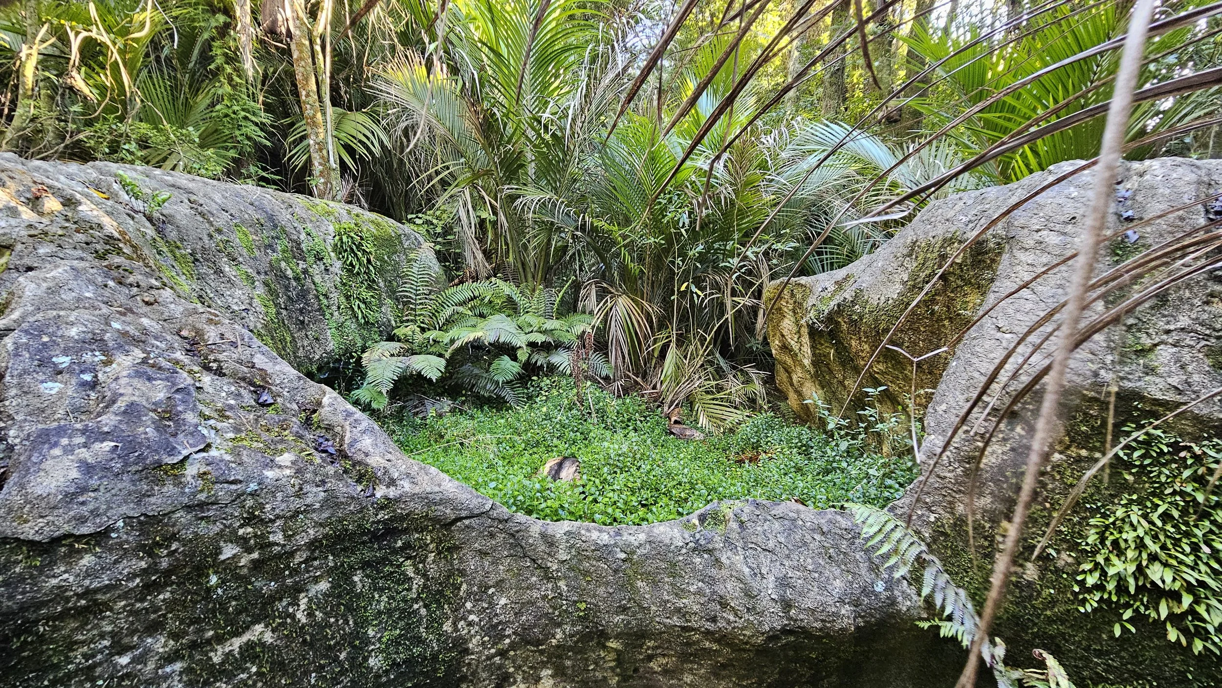 20260718_092351.jpg
