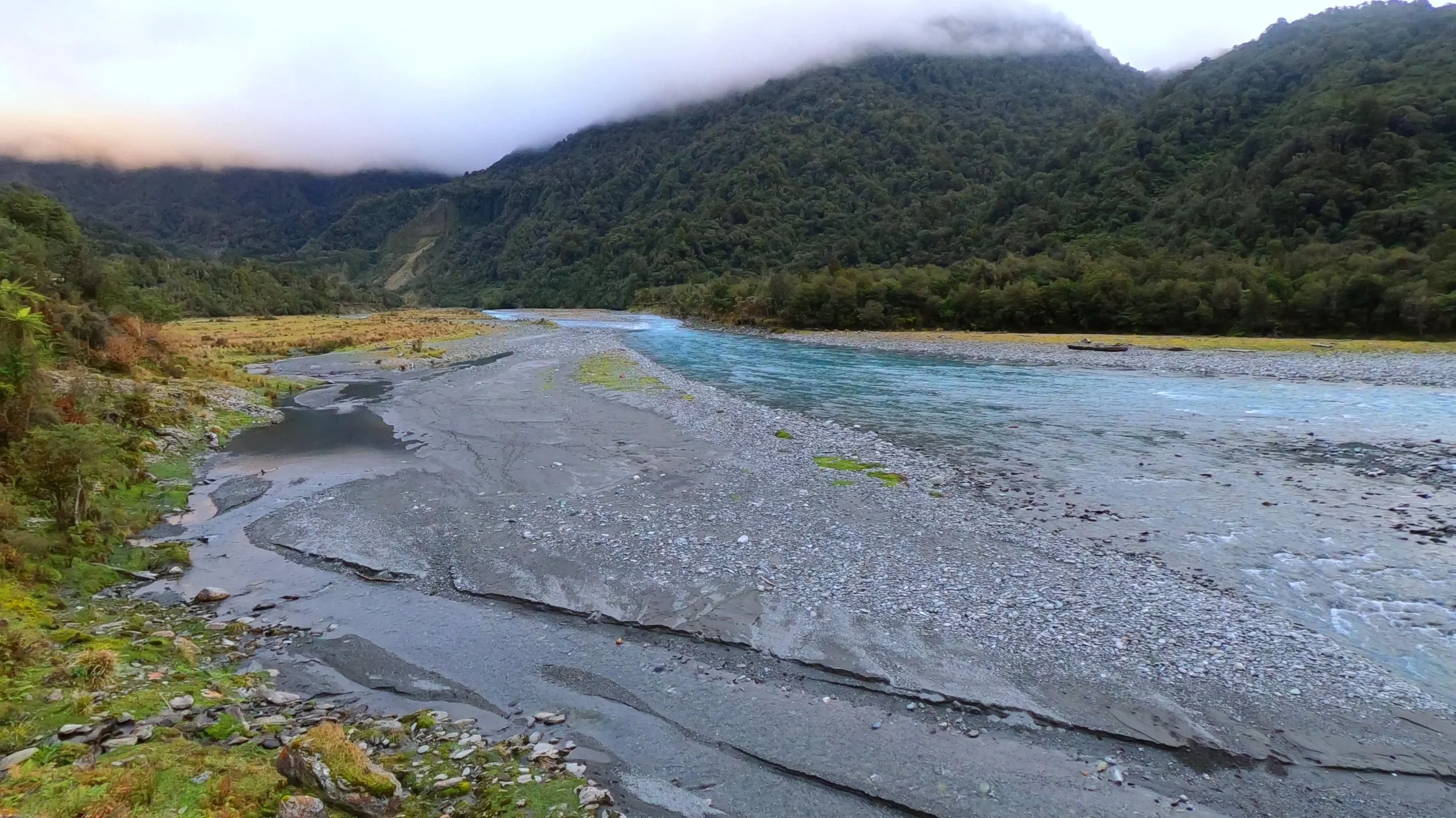 Arahura River and surrounding West Coast forest