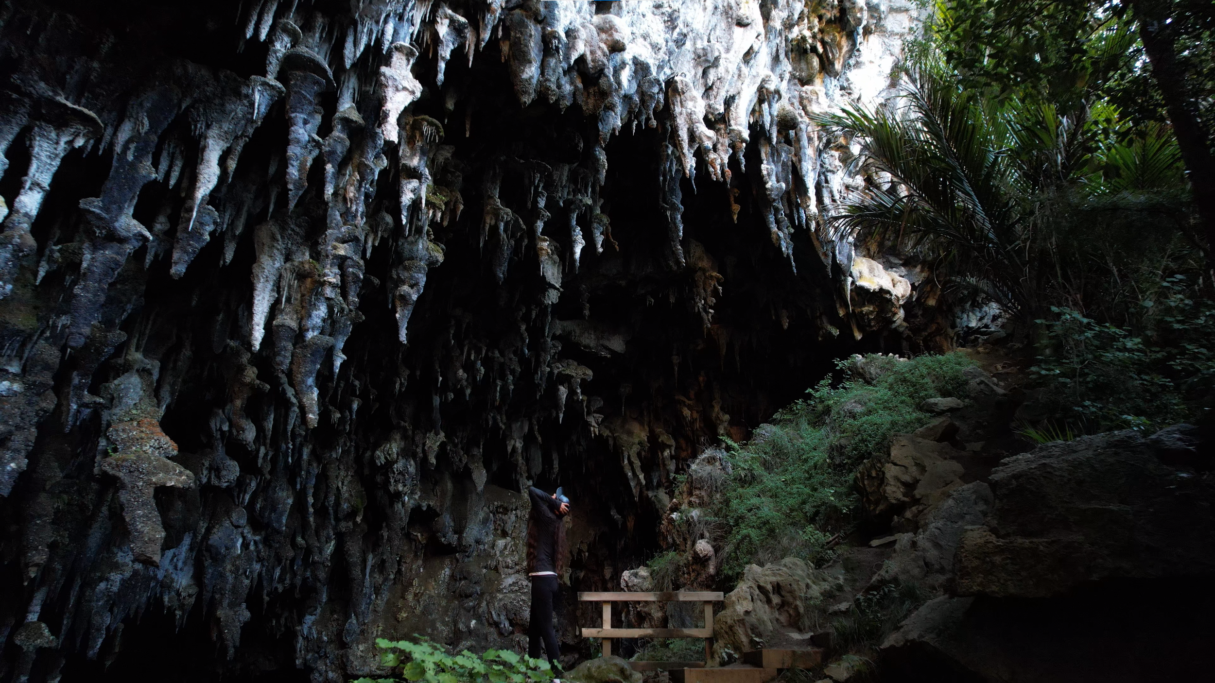 Rawhiti Cave entrance in Golden Bay with limestone formations and vegetation