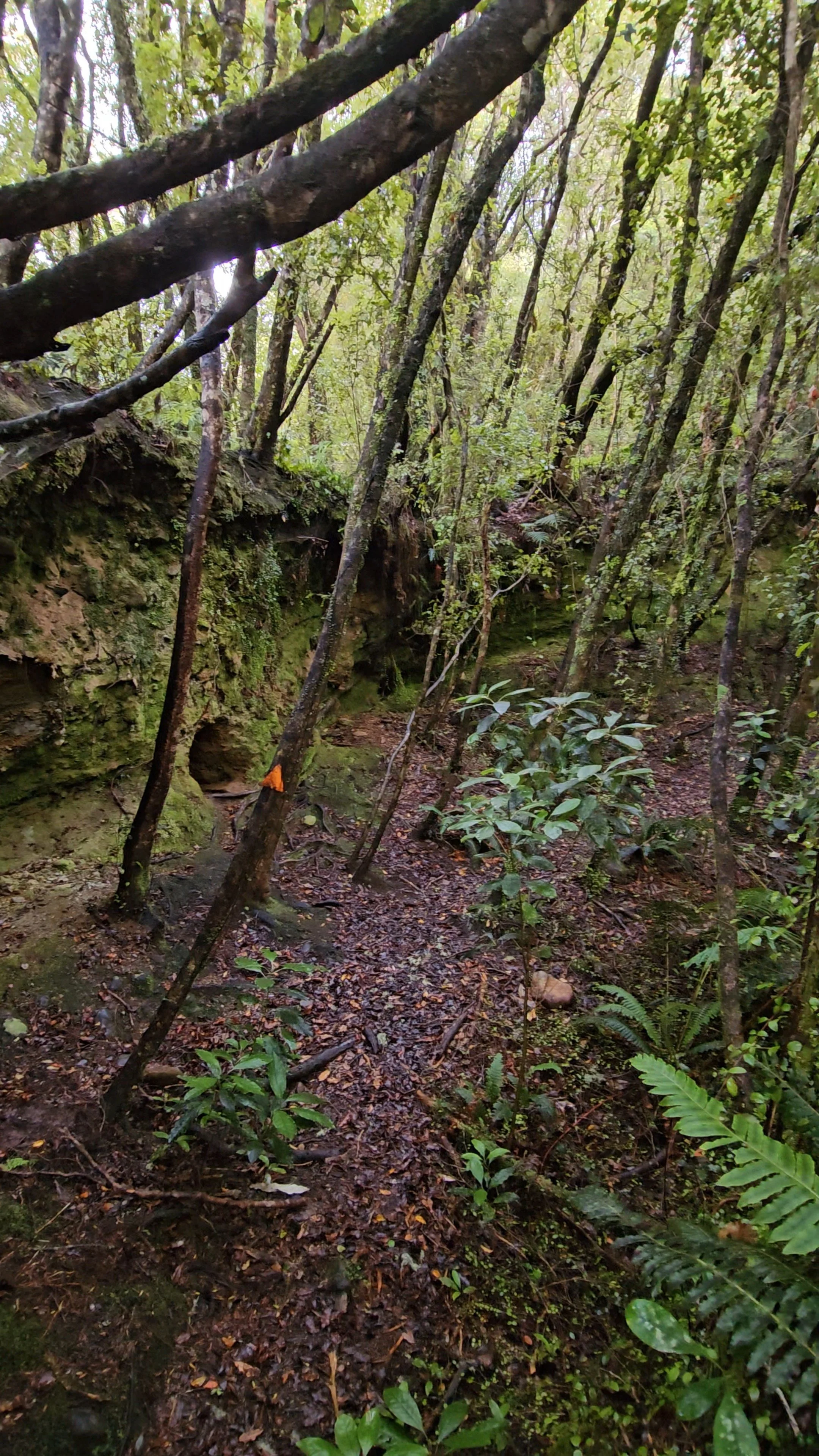 20260523_151318.jpg