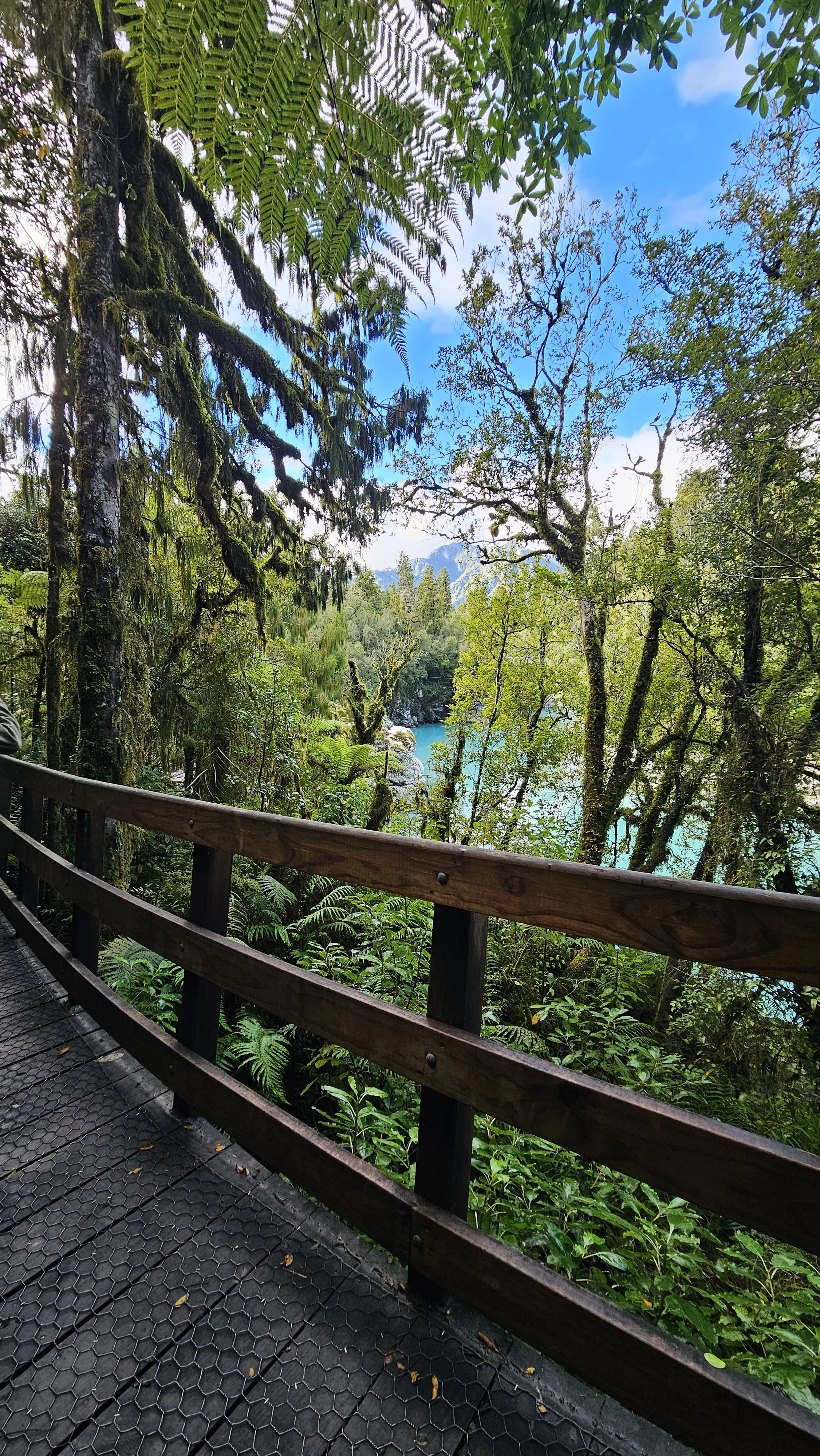 20260524_114236.jpg